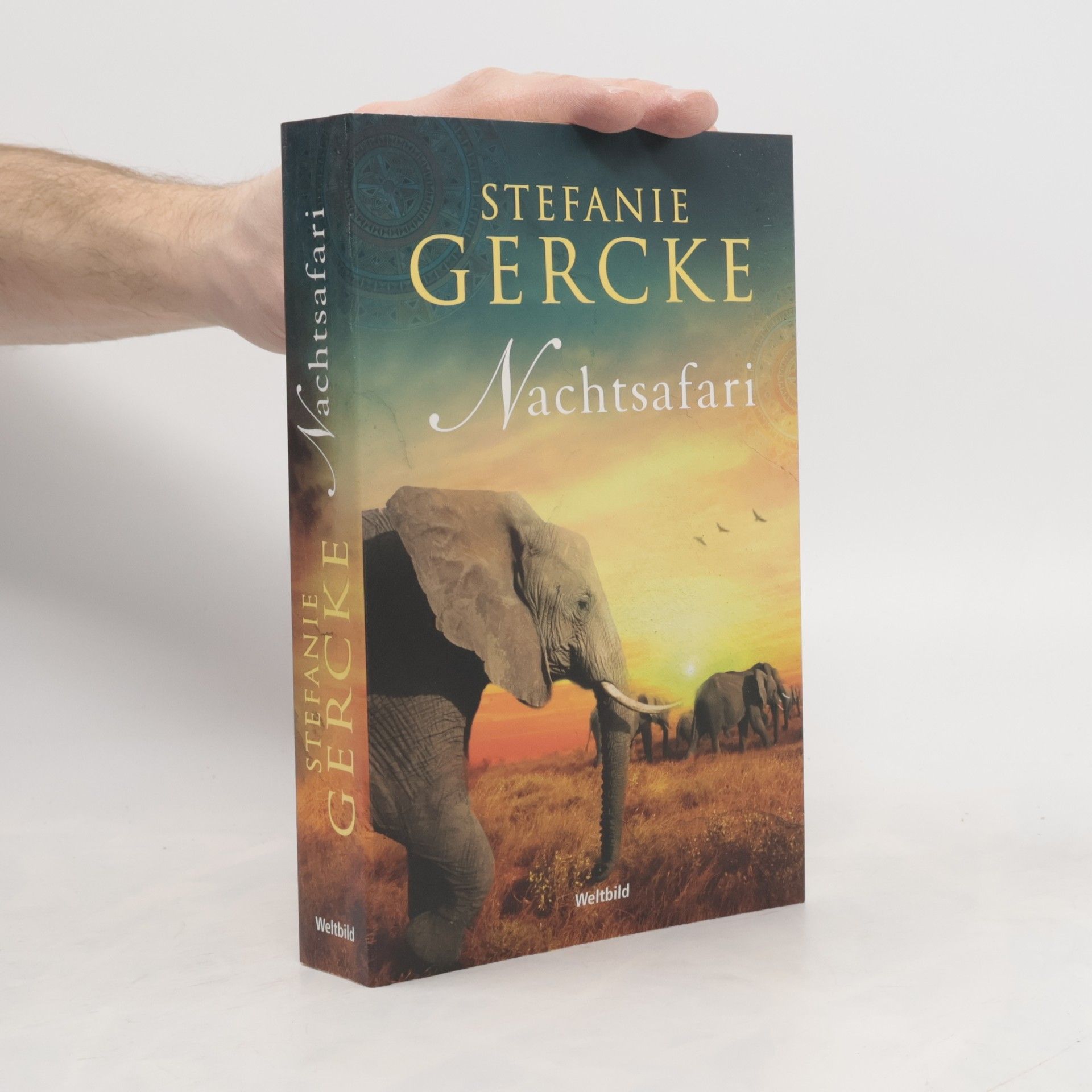 Stefanie Gercke Nachtsafari