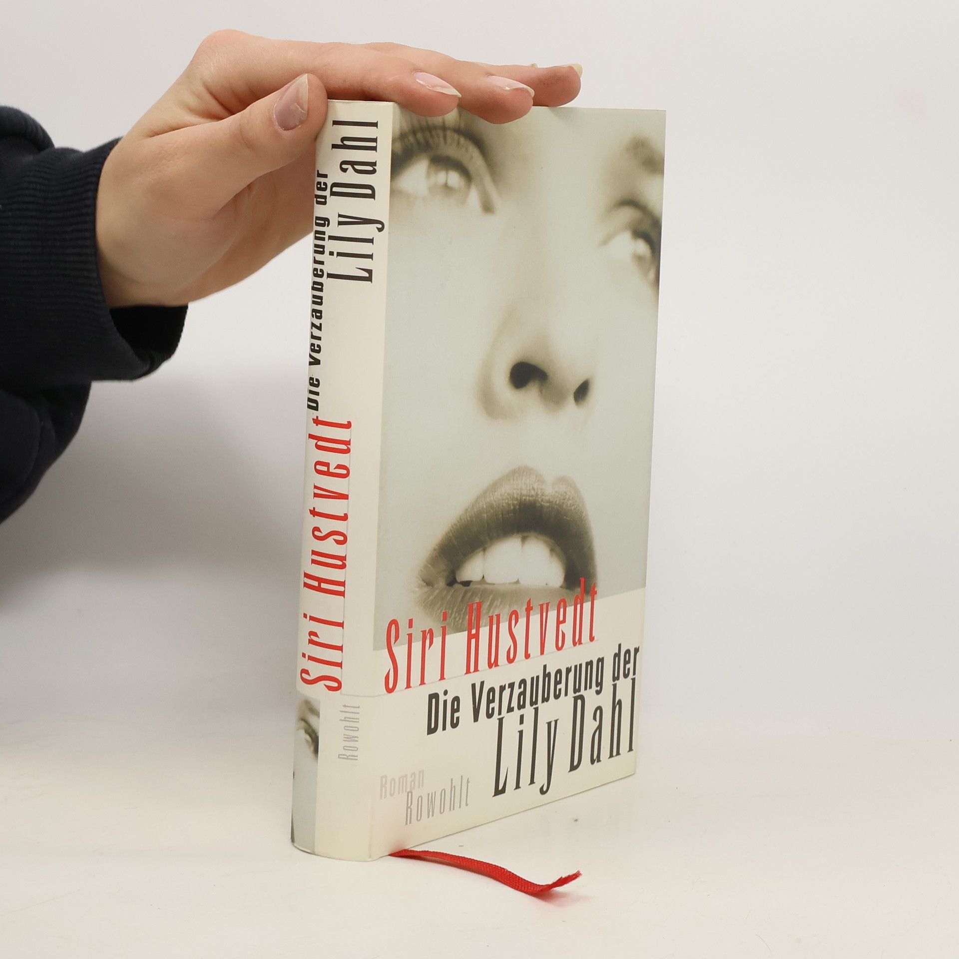 Siri Hustvedt Die Verzauberung der Lily Dahl