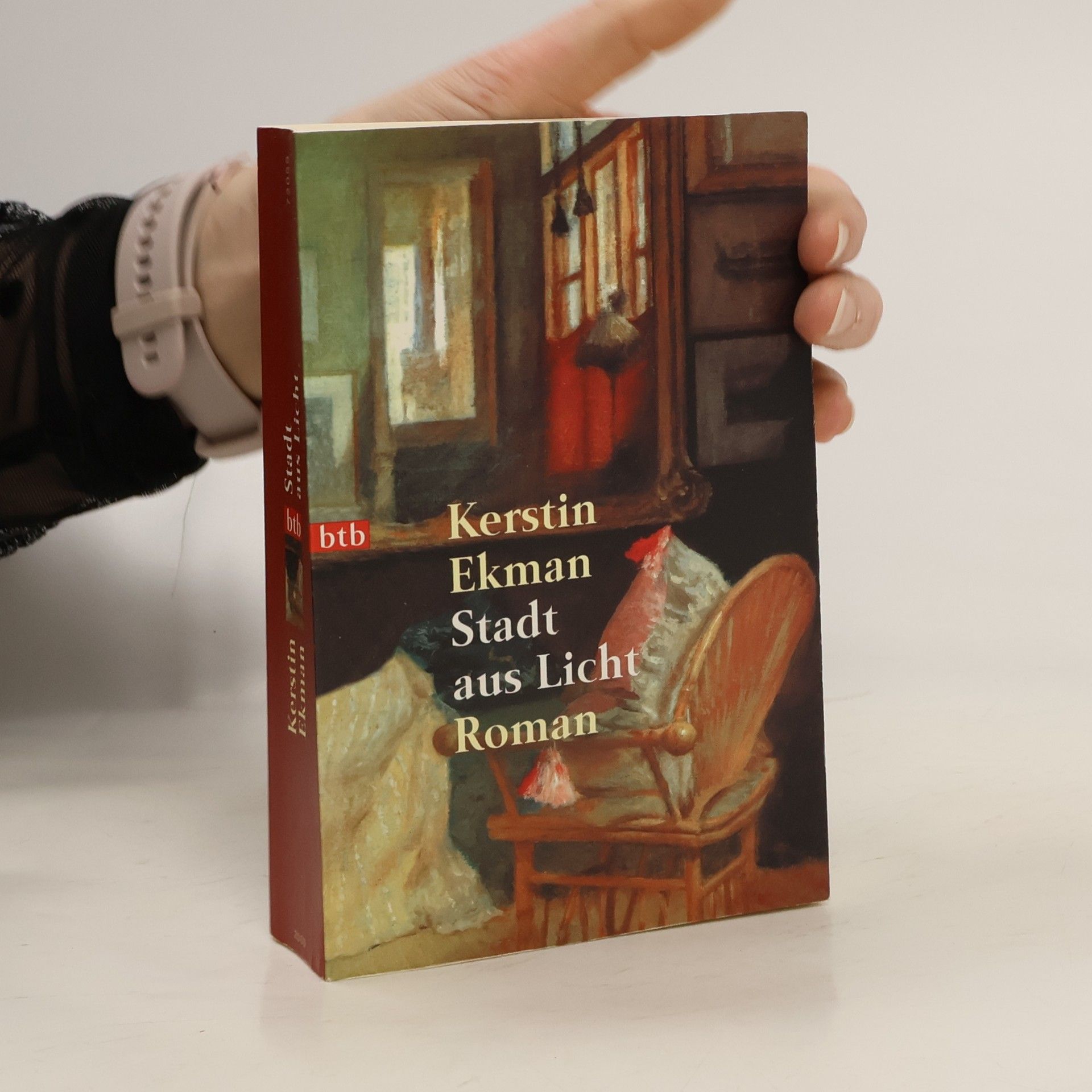 Kerstin Ekman Stadt aus Licht