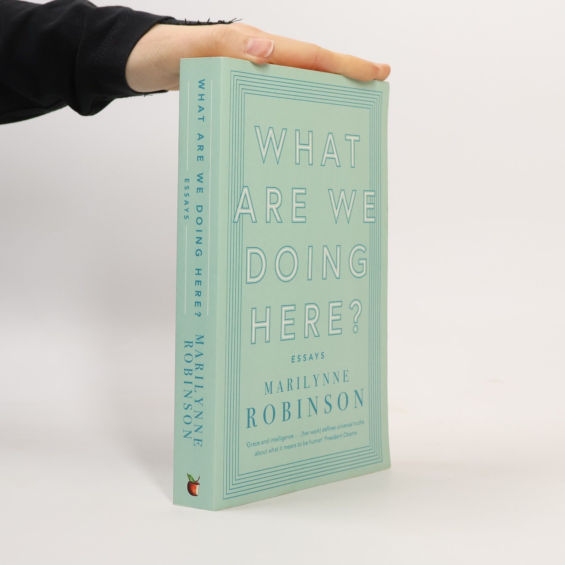 What Are We Doing Here?