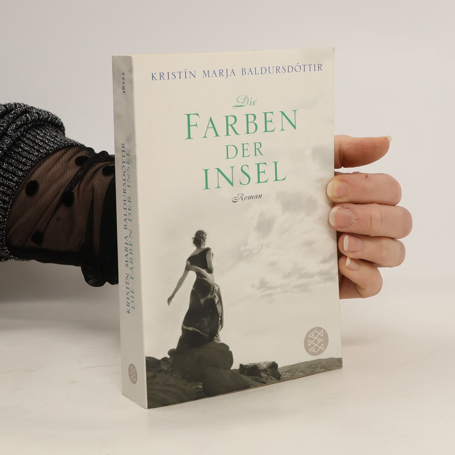 Kristín Marja Baldursdóttir Die Farben der Insel