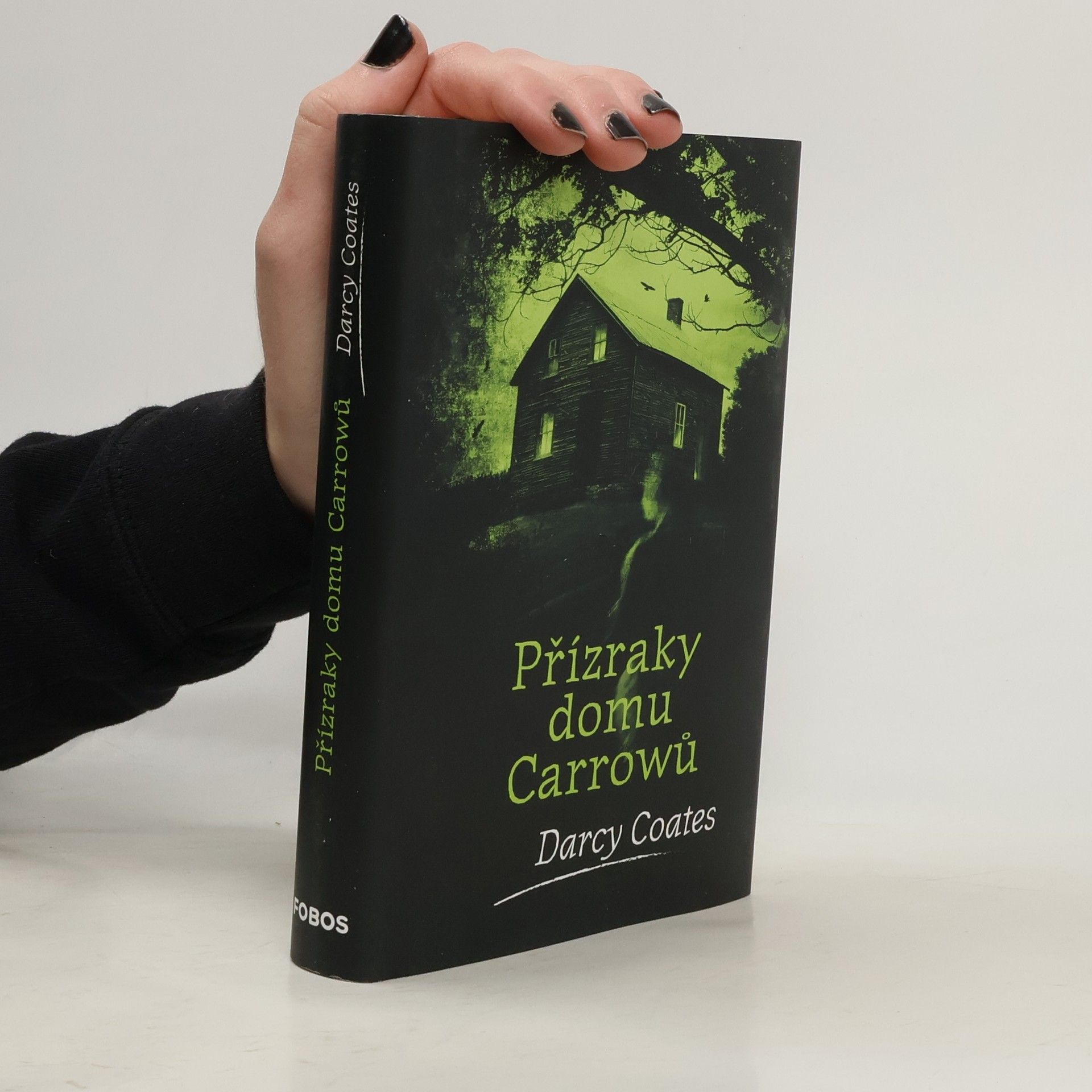 Darcy Coates Přízraky domu Carrowů