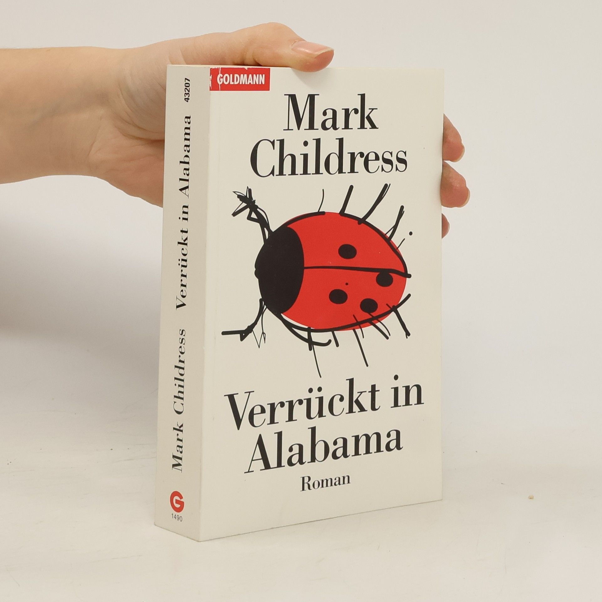 Mark Childress Verrückt in Alabama