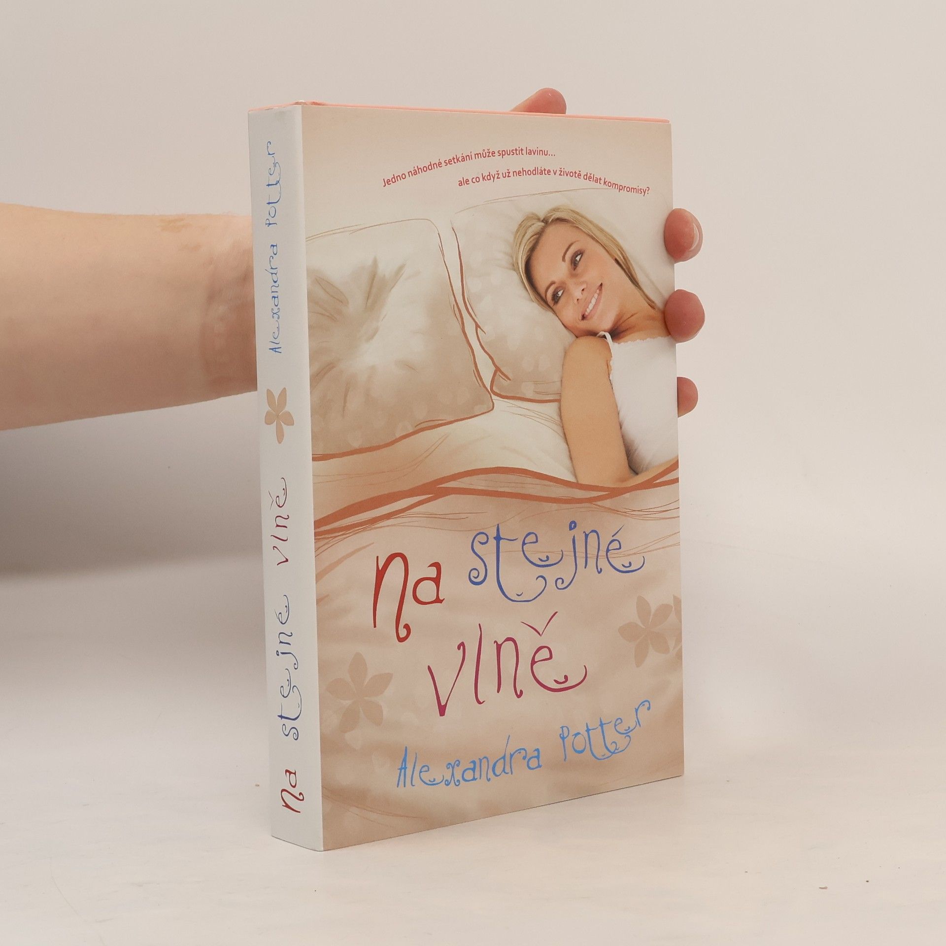 Alexandra Potter Na stejné vlně