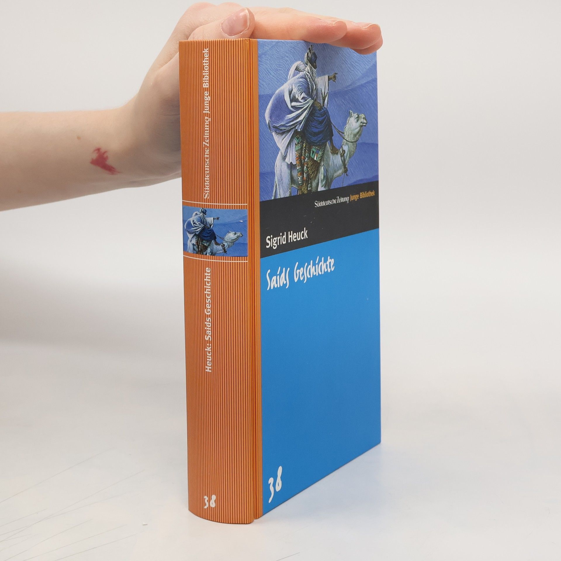 Sigrid Heuck Saids Geschichte oder der Schatz in der Wüste