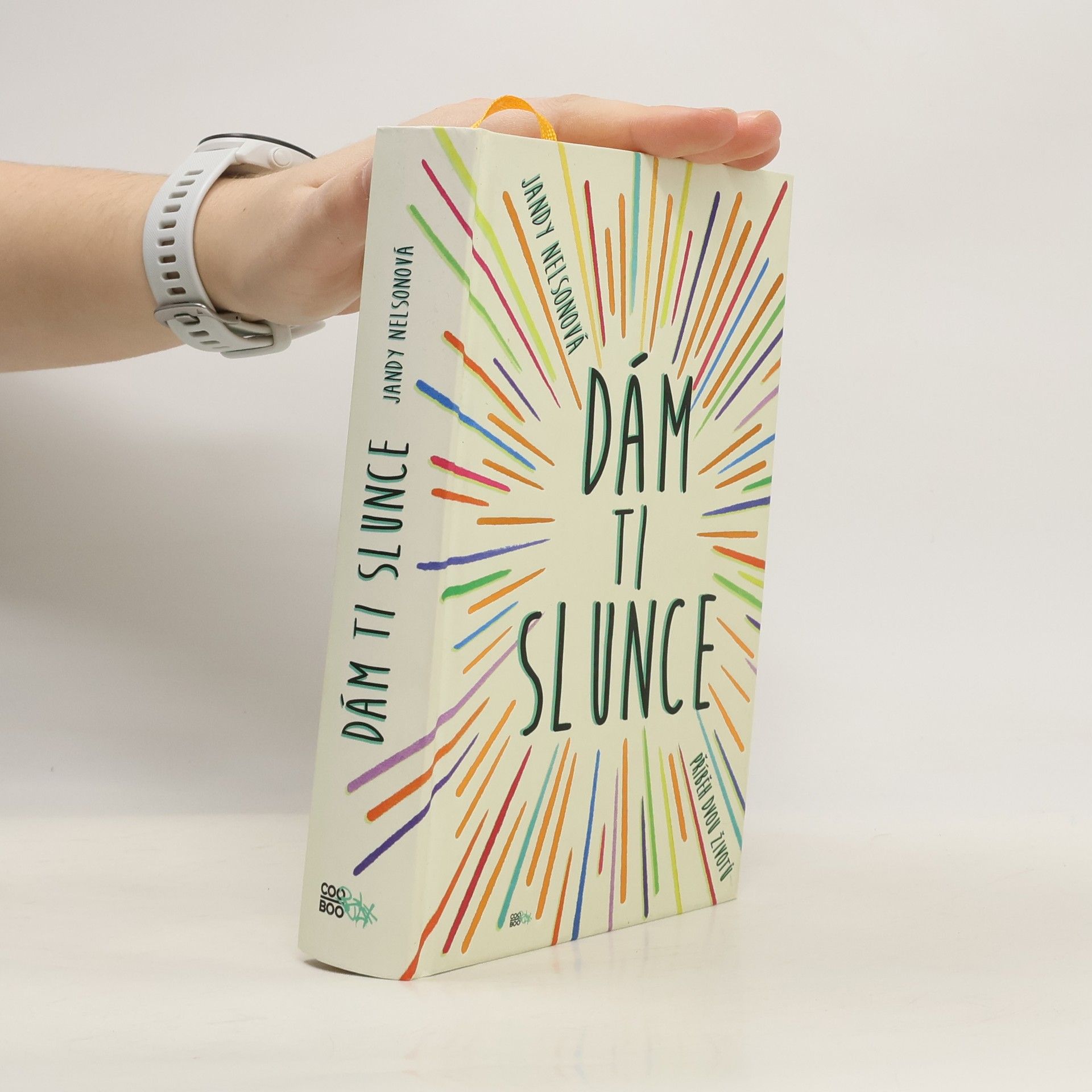 Jandy Nelson Dám ti slunce