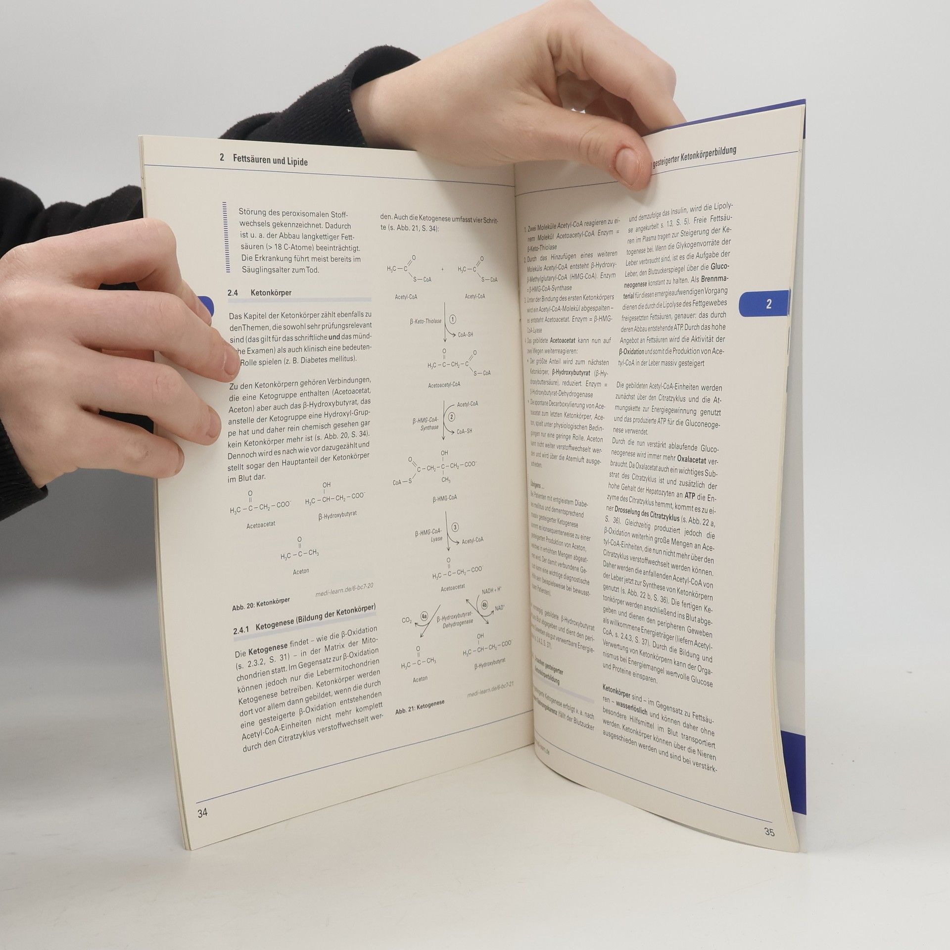 Sebastian Fehlberg  MEDI-LEARN Skriptenreihe 2014/15 - 6: Biochemie