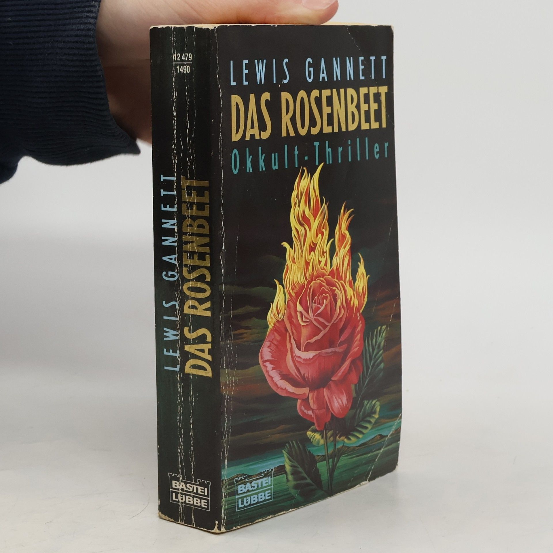 Lewis Gannett Das Rosenbeet. Okkult-Thriller