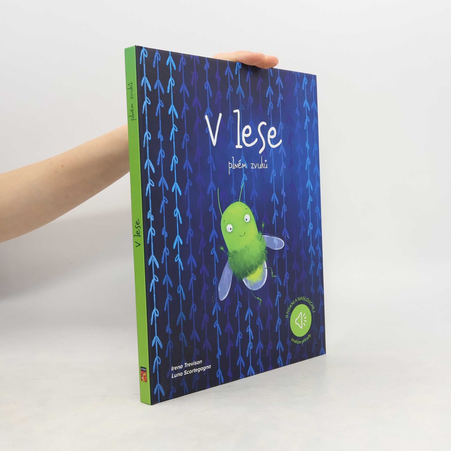 V lese plném zvuků