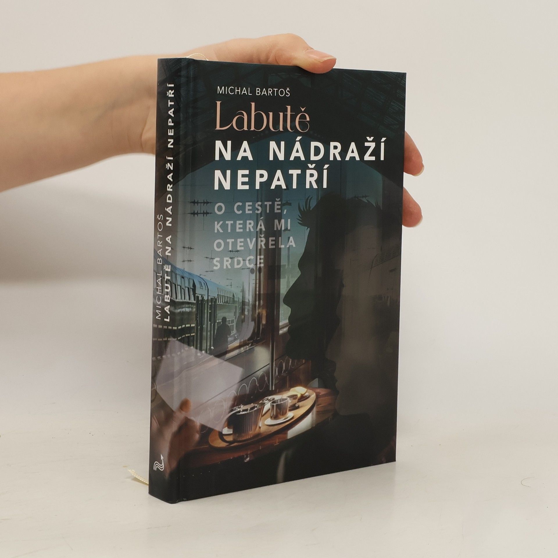 Labutě na nádraží nepatří