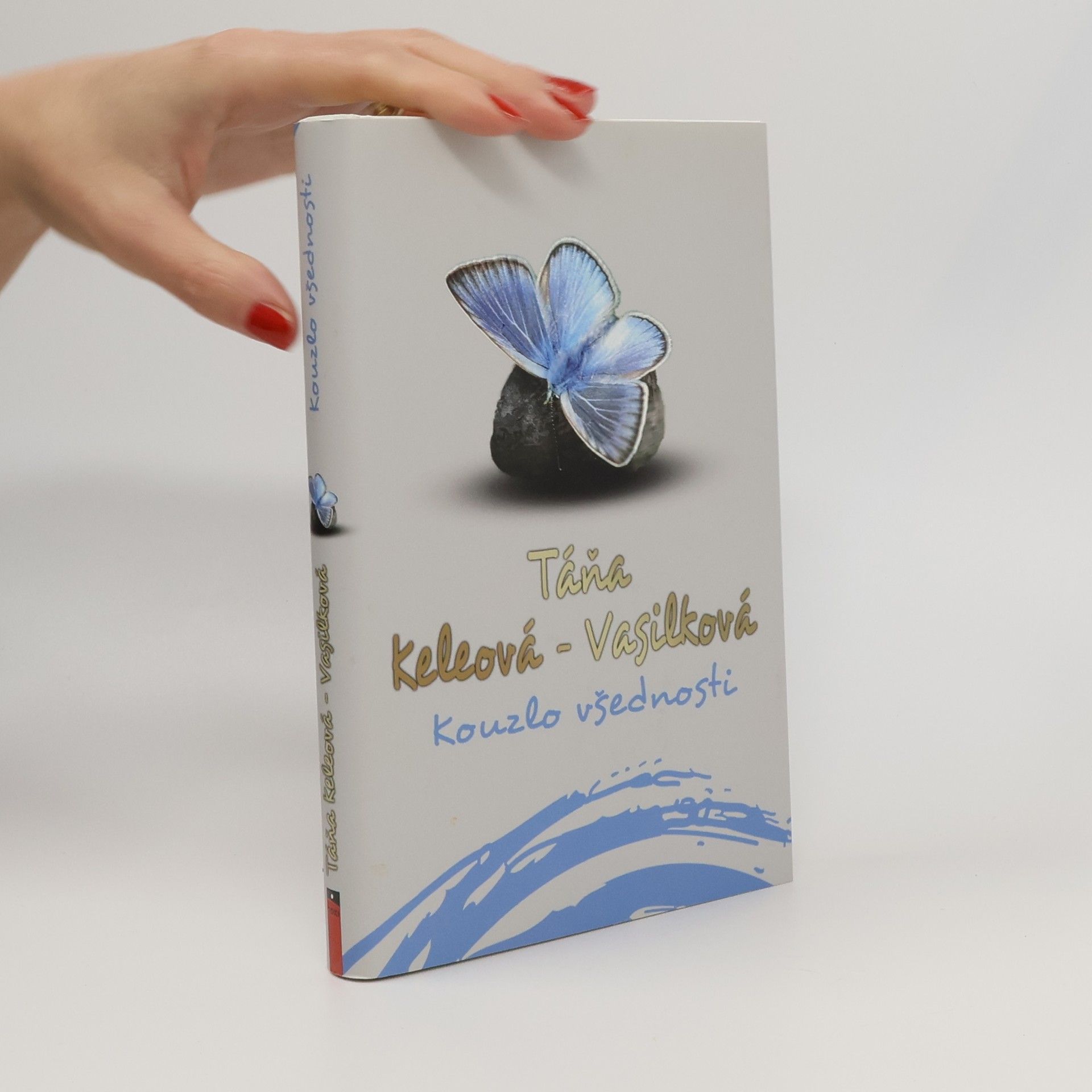 Táňa Keleová-Vasilková Kouzlo všednosti