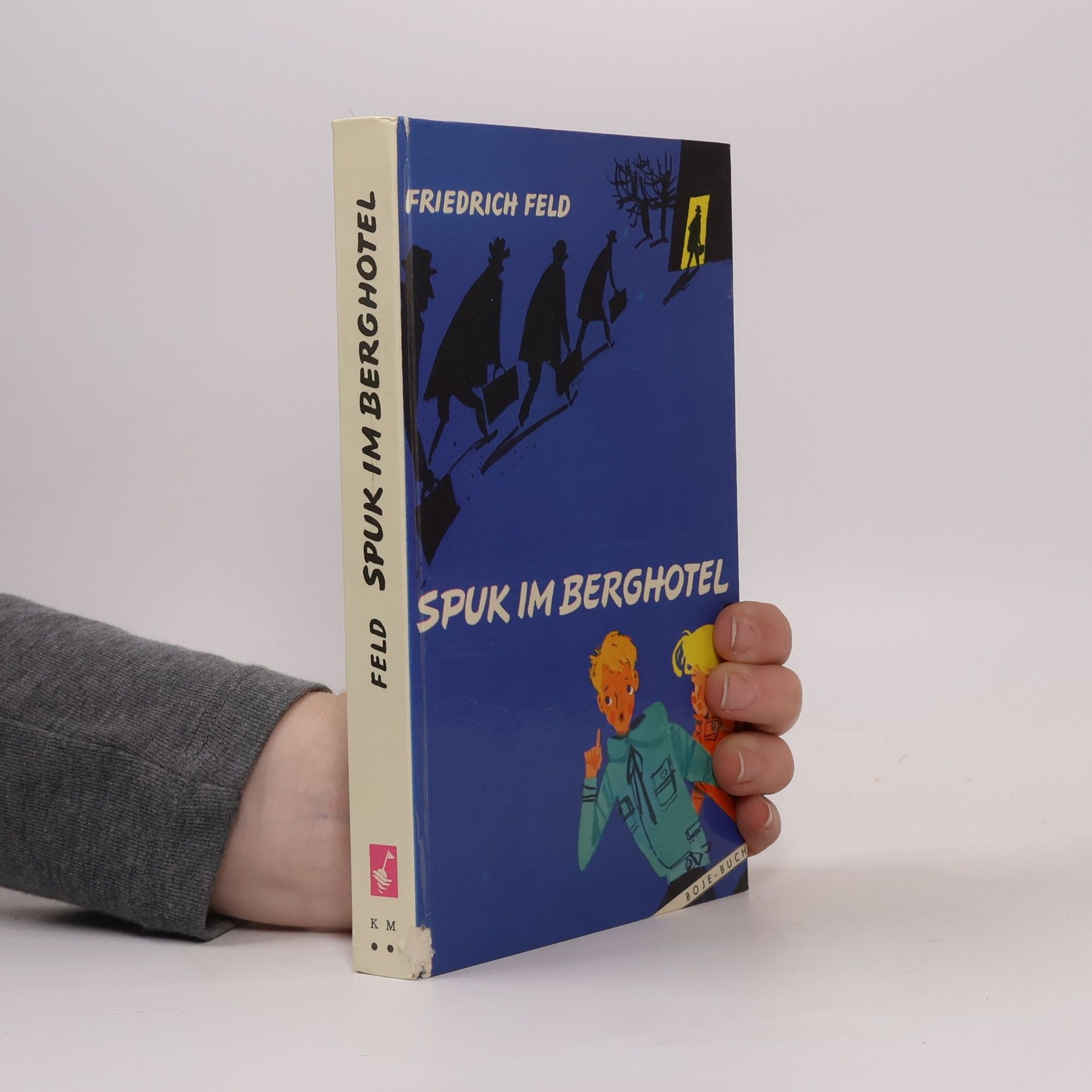 Friedrich Feld Spuk im Berghotel