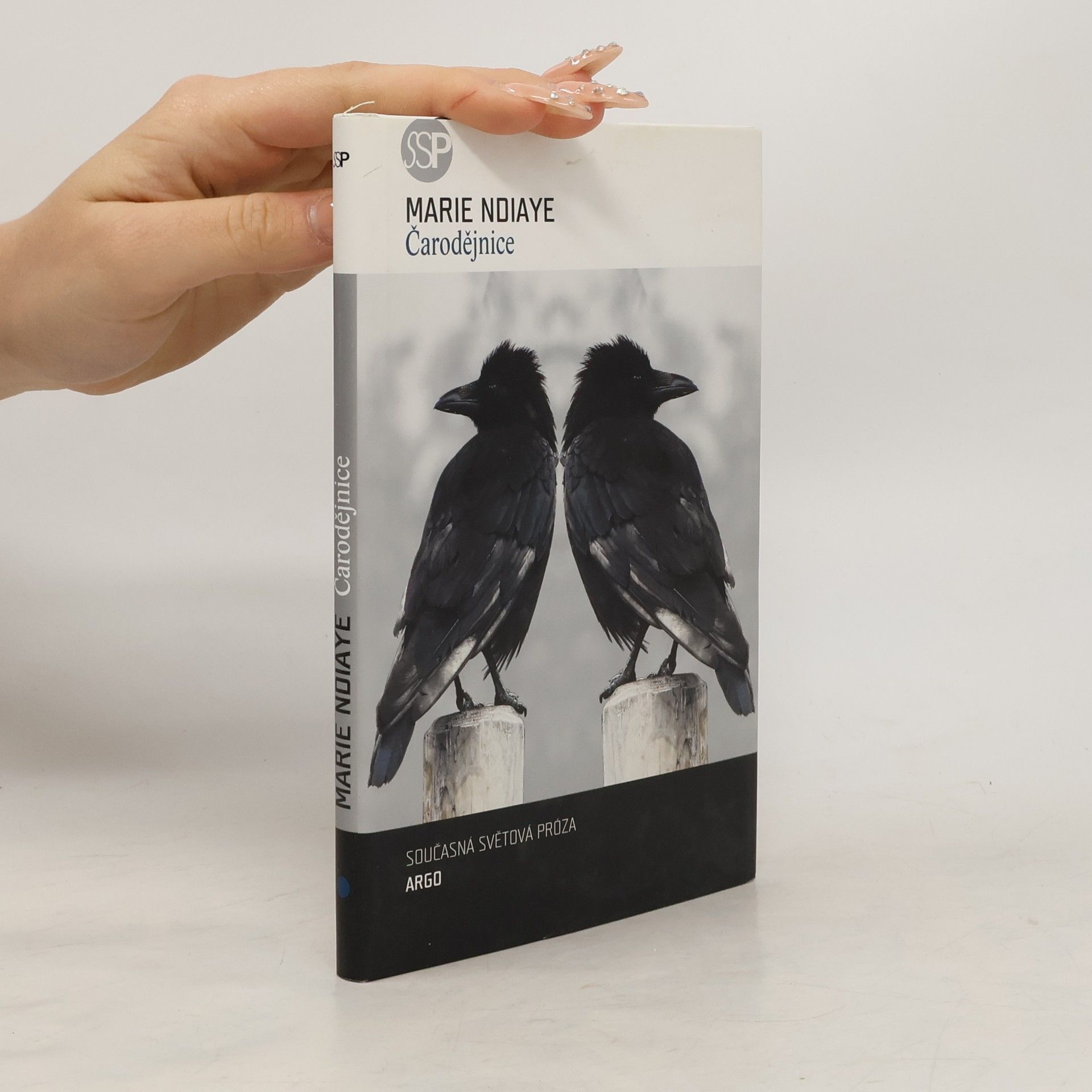 Marie NDiaye Čarodějnice
