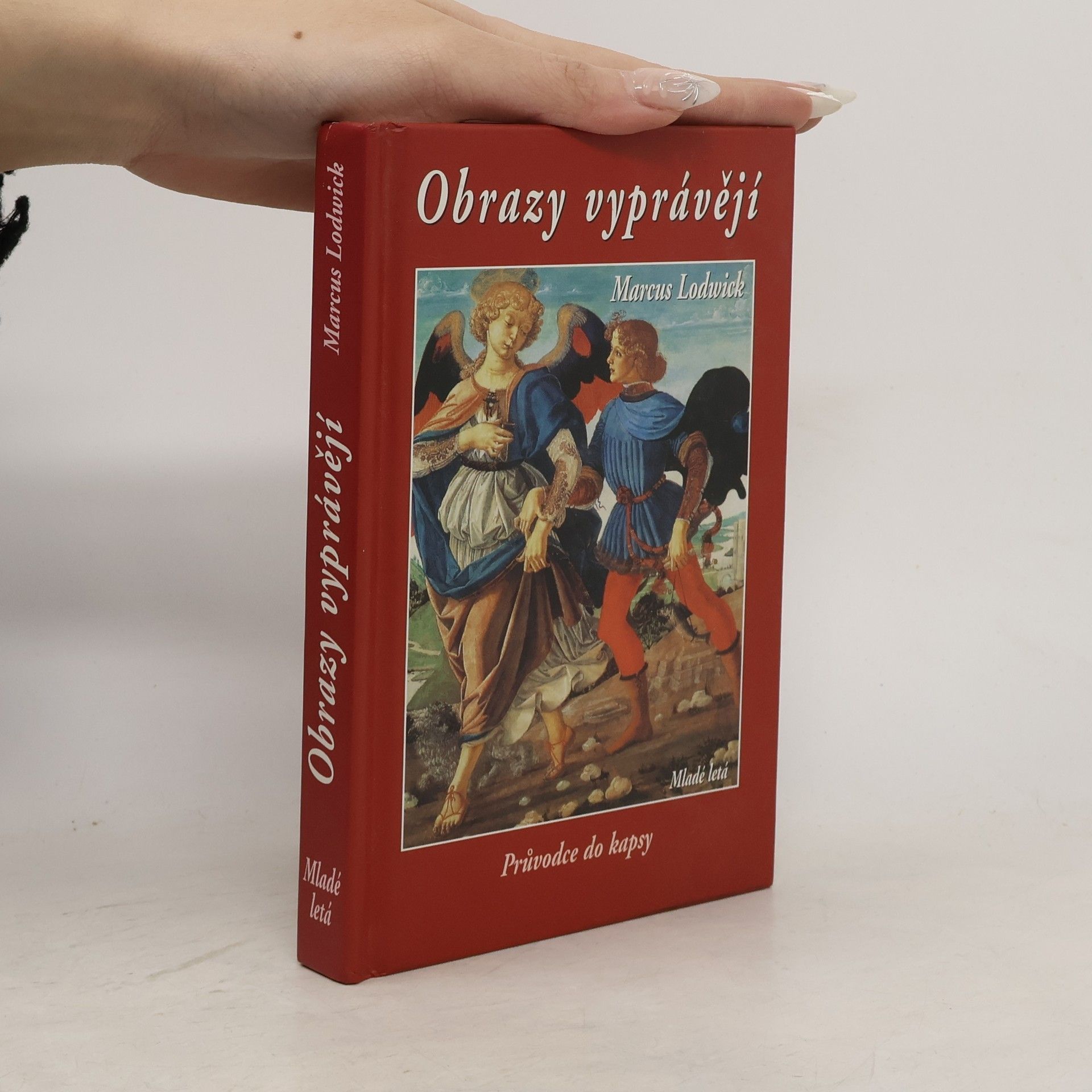 Marcus Lodwick Obrazy vyprávějí : průvodce do kapsy