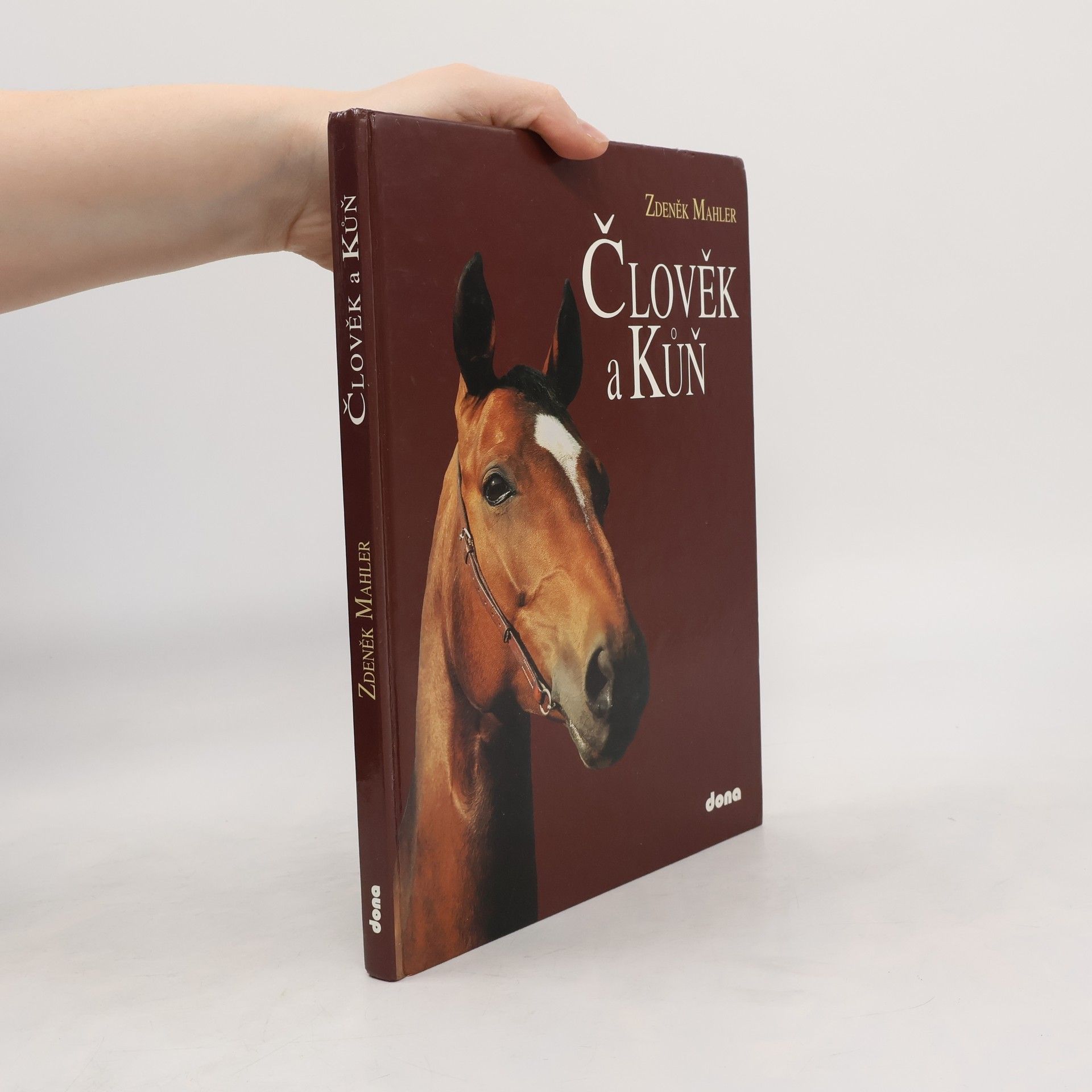 Člověk a kůň