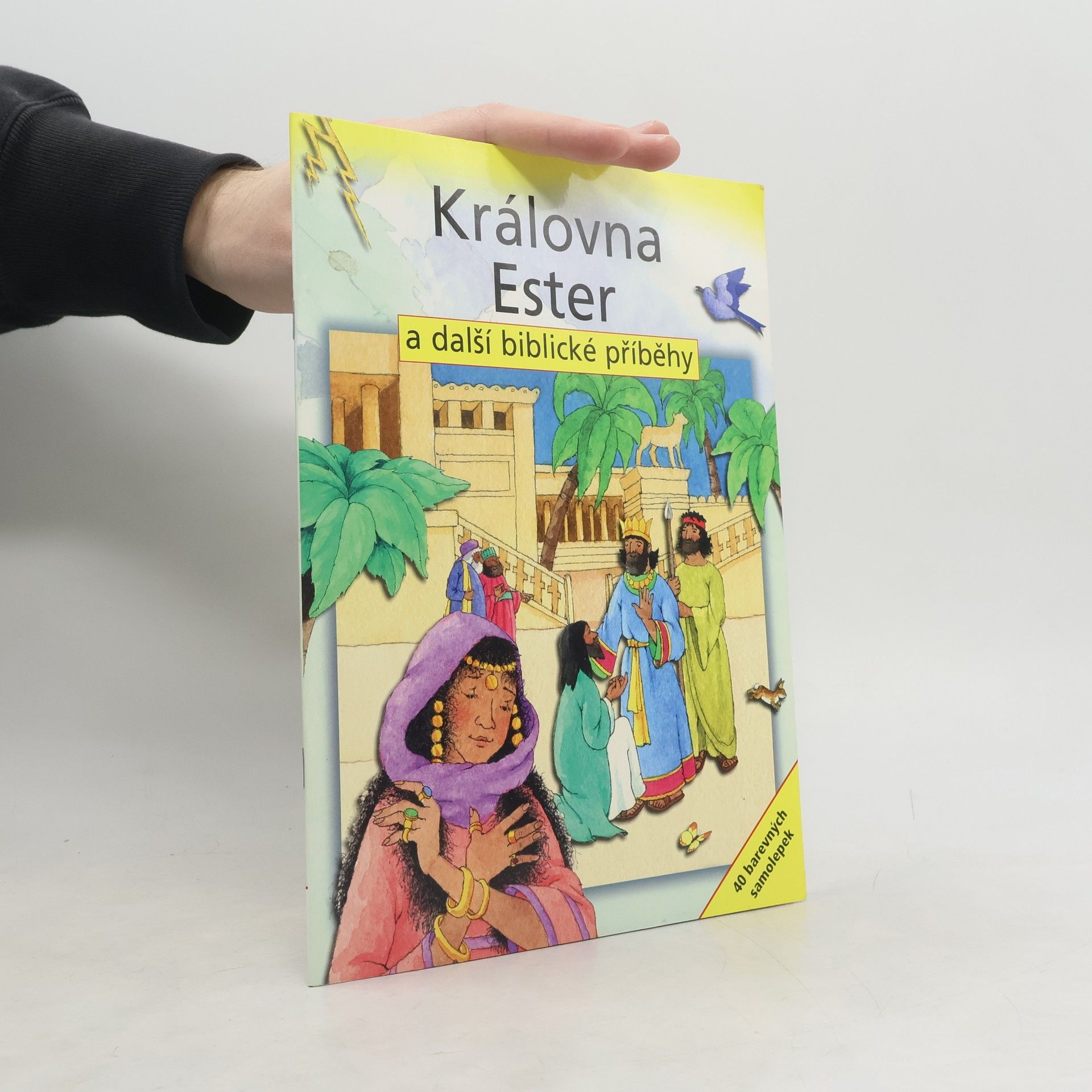 Sally Ann Wright Královna Ester a další biblické příběhy