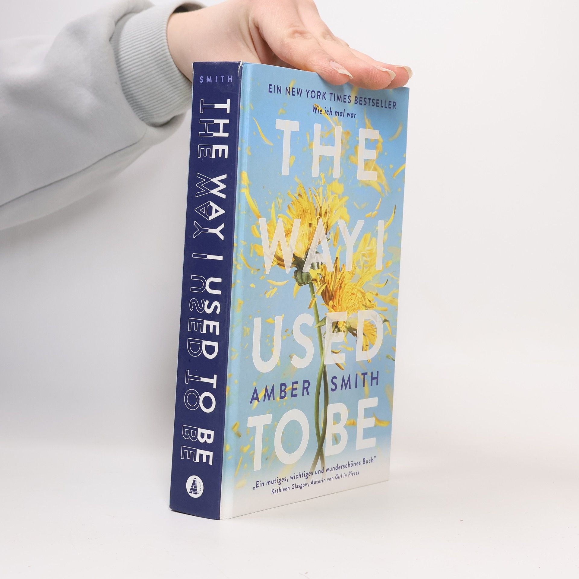 Amber Smith Wie ich mal war. The Way I Used to Be