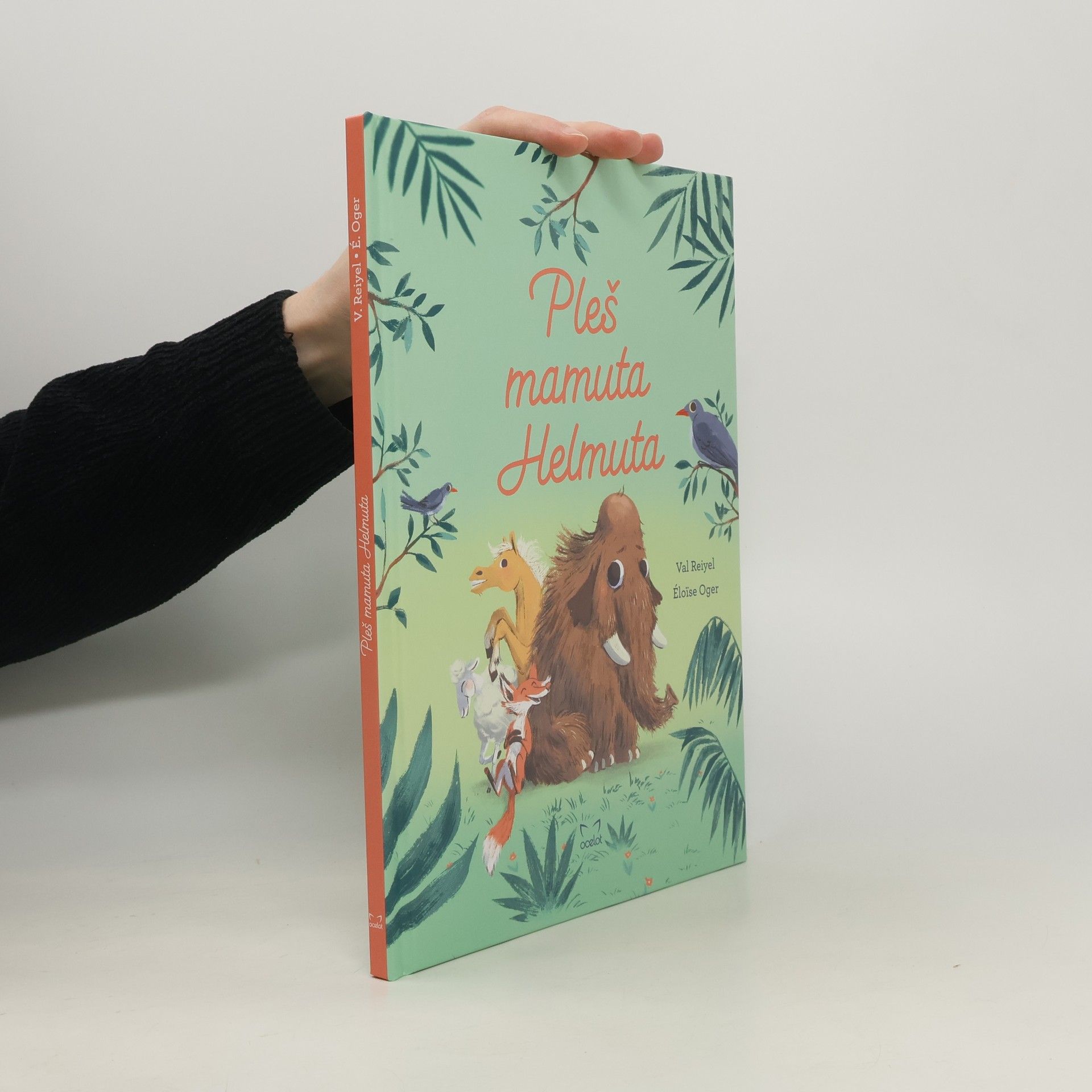 Pleš mamuta Helmuta