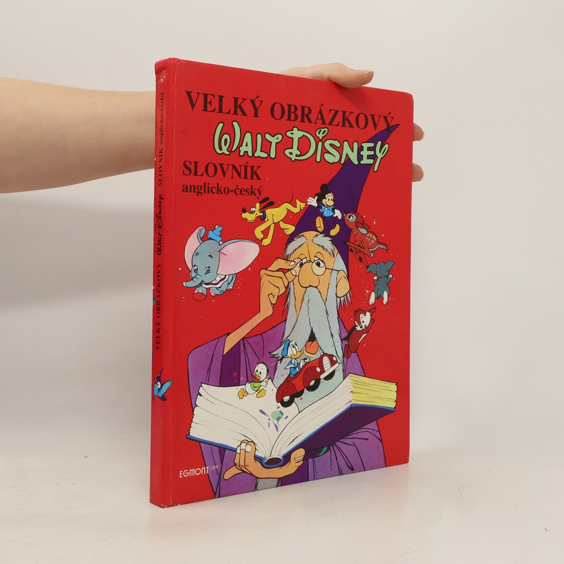 Walt Disney Velký obrázkový slovník anglicko-český