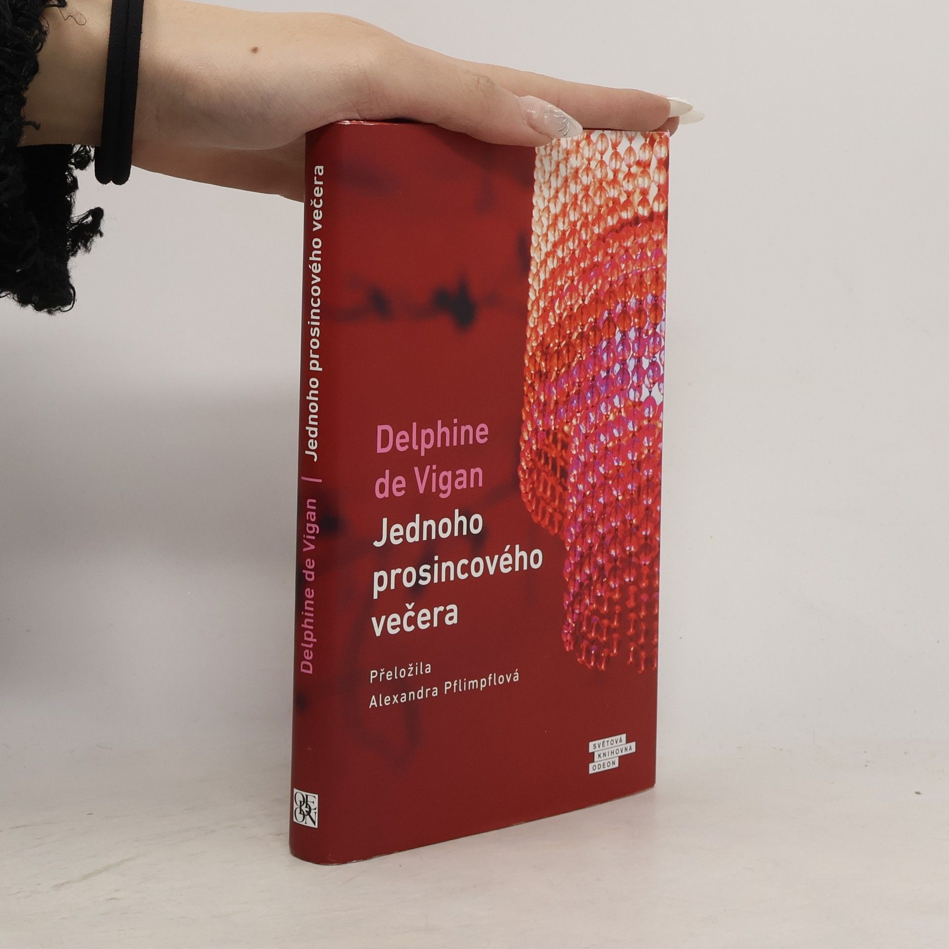 Delphine de Vigan Jednoho prosincového večera