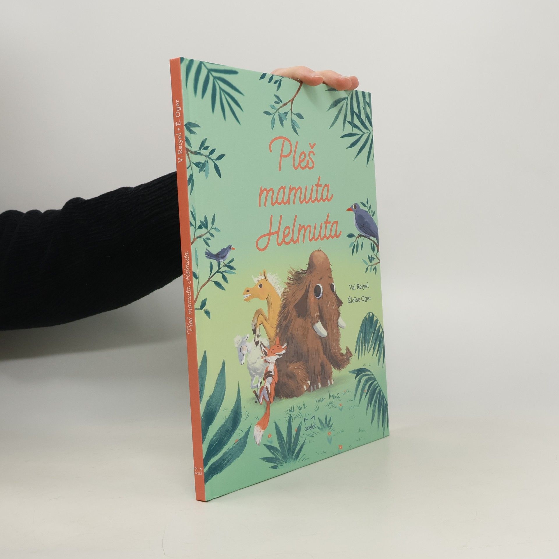 Pleš mamuta Helmuta