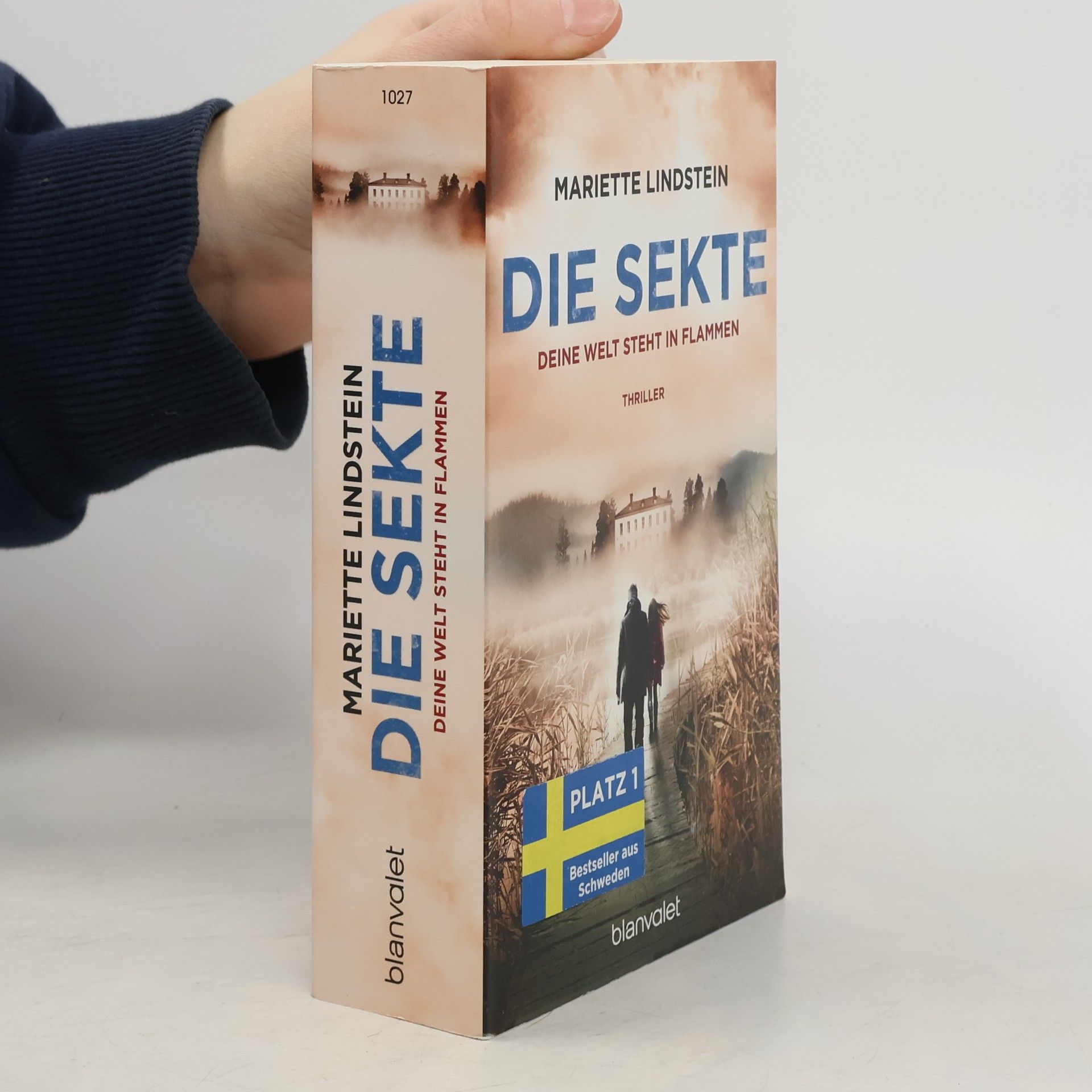 Die Sekte: Deine Welt steht in Flammen