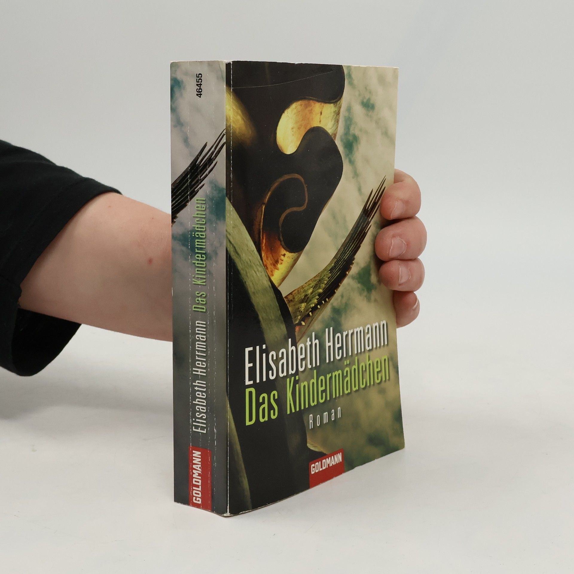 Elisabeth Hermann Das Kindermädchen