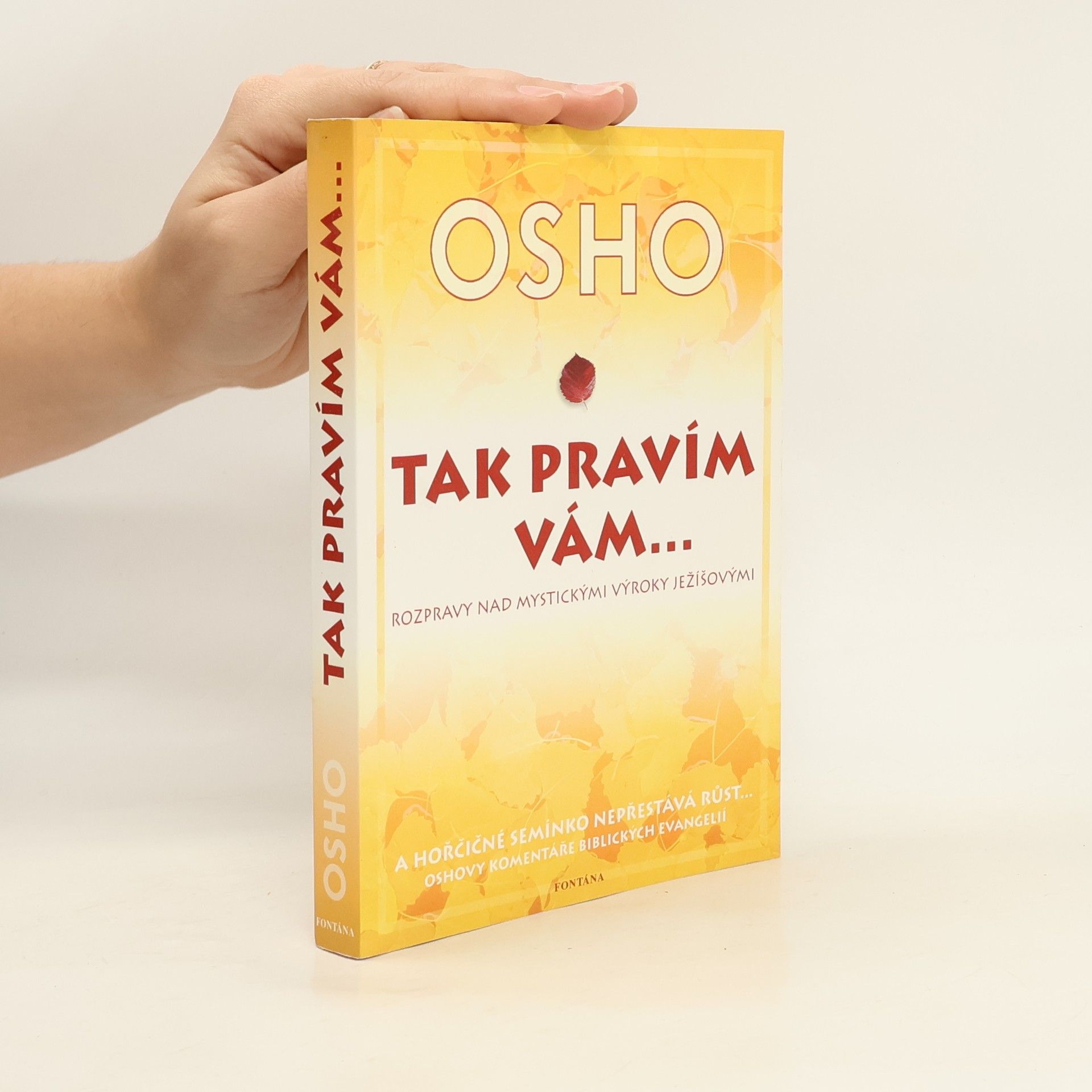 Tak pravím vám... Rozmluvy o mystických výrocích Ježíšových