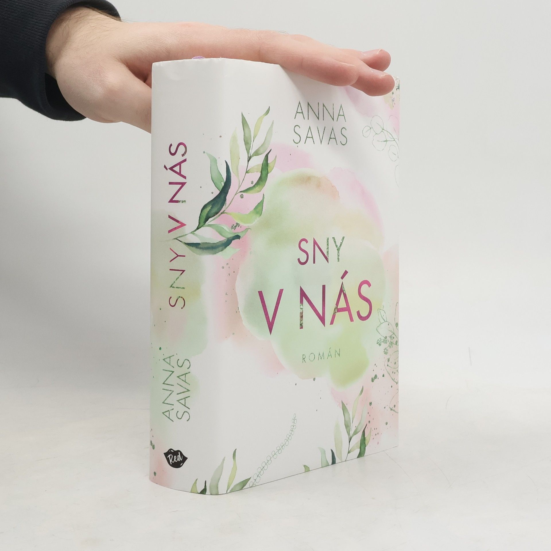 Anna Savas Sny v nás