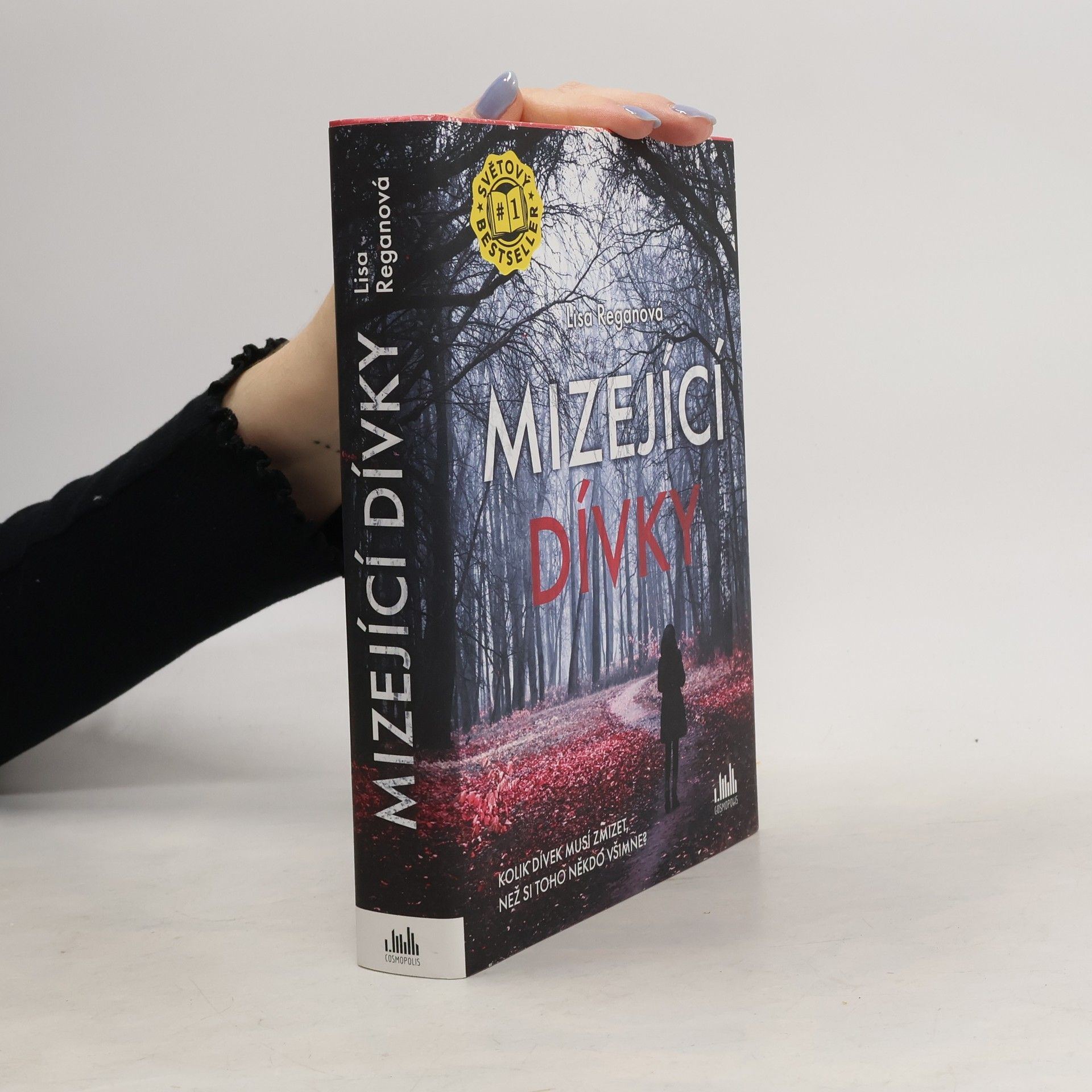 Lisa Regan Mizející dívky