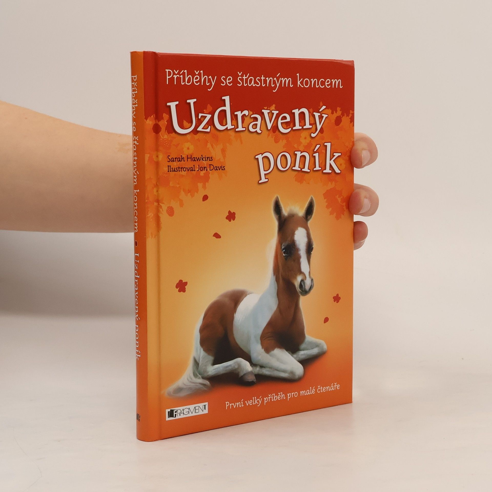 Eva Brožová Uzdravený poník