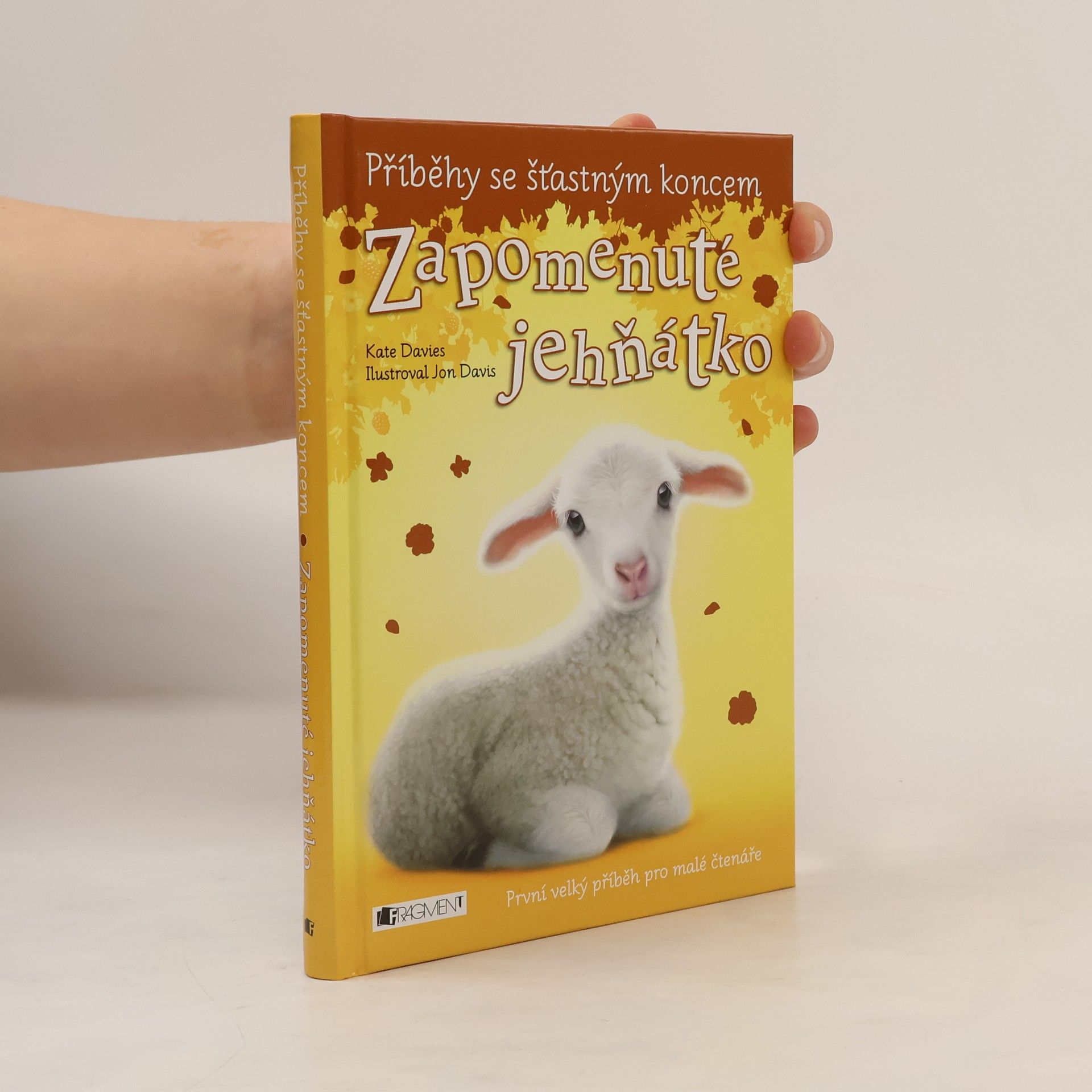 Katie Davies Zapomenuté jehňátko