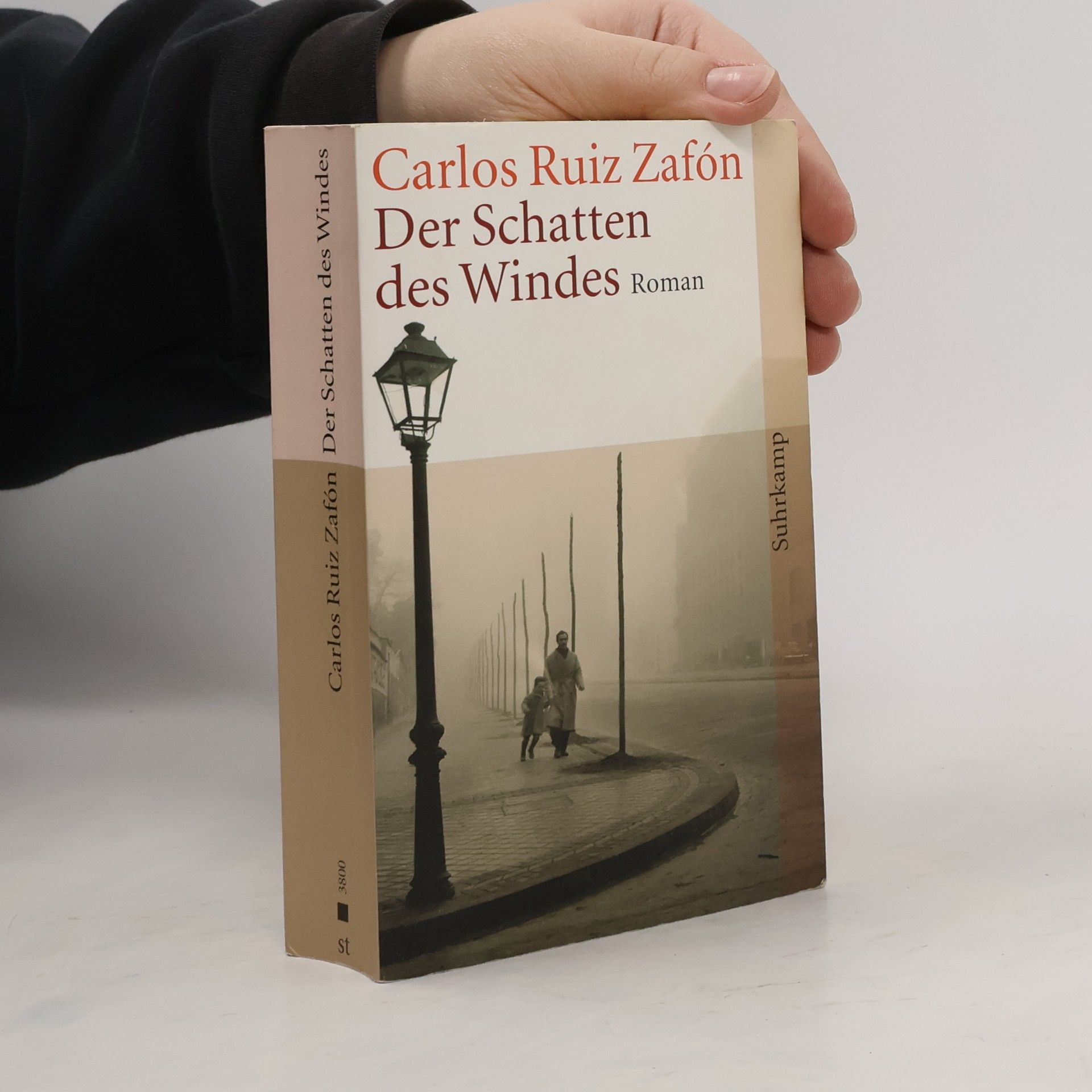 Carlos Ruiz Zafón Der Schatten des Windes