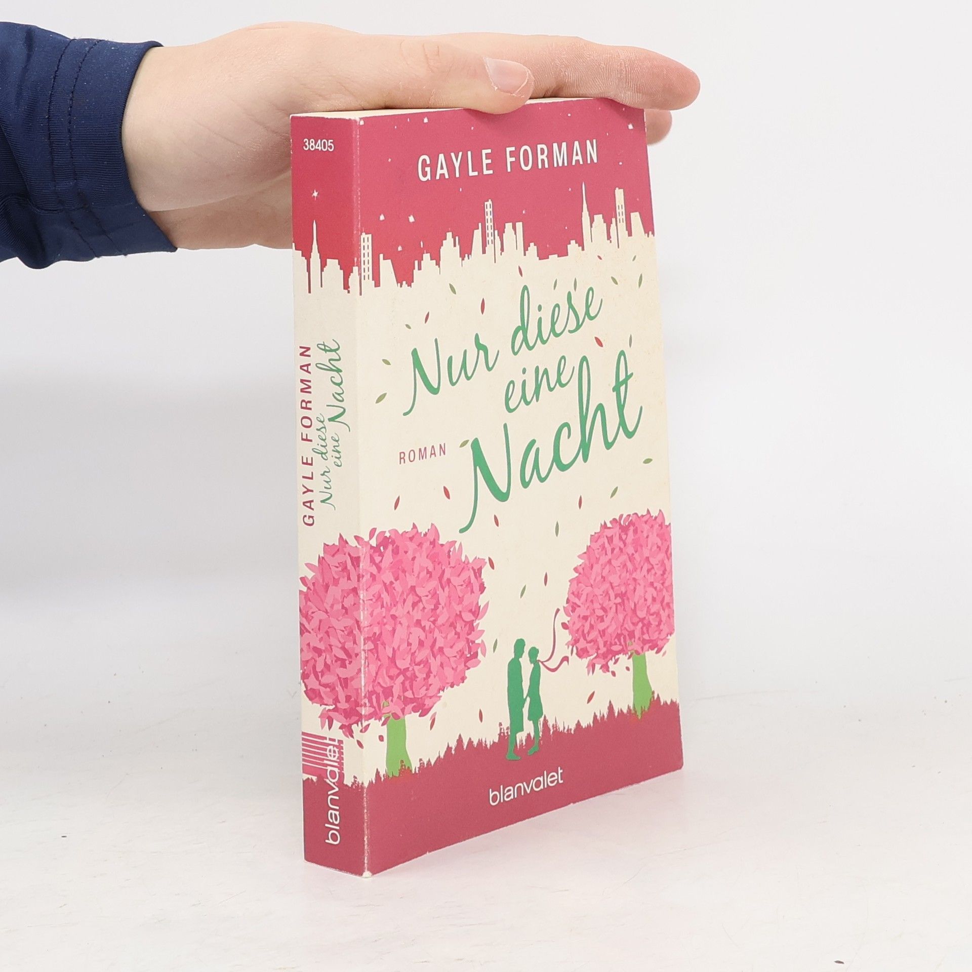 Gayle Forman Nur diese eine Nacht