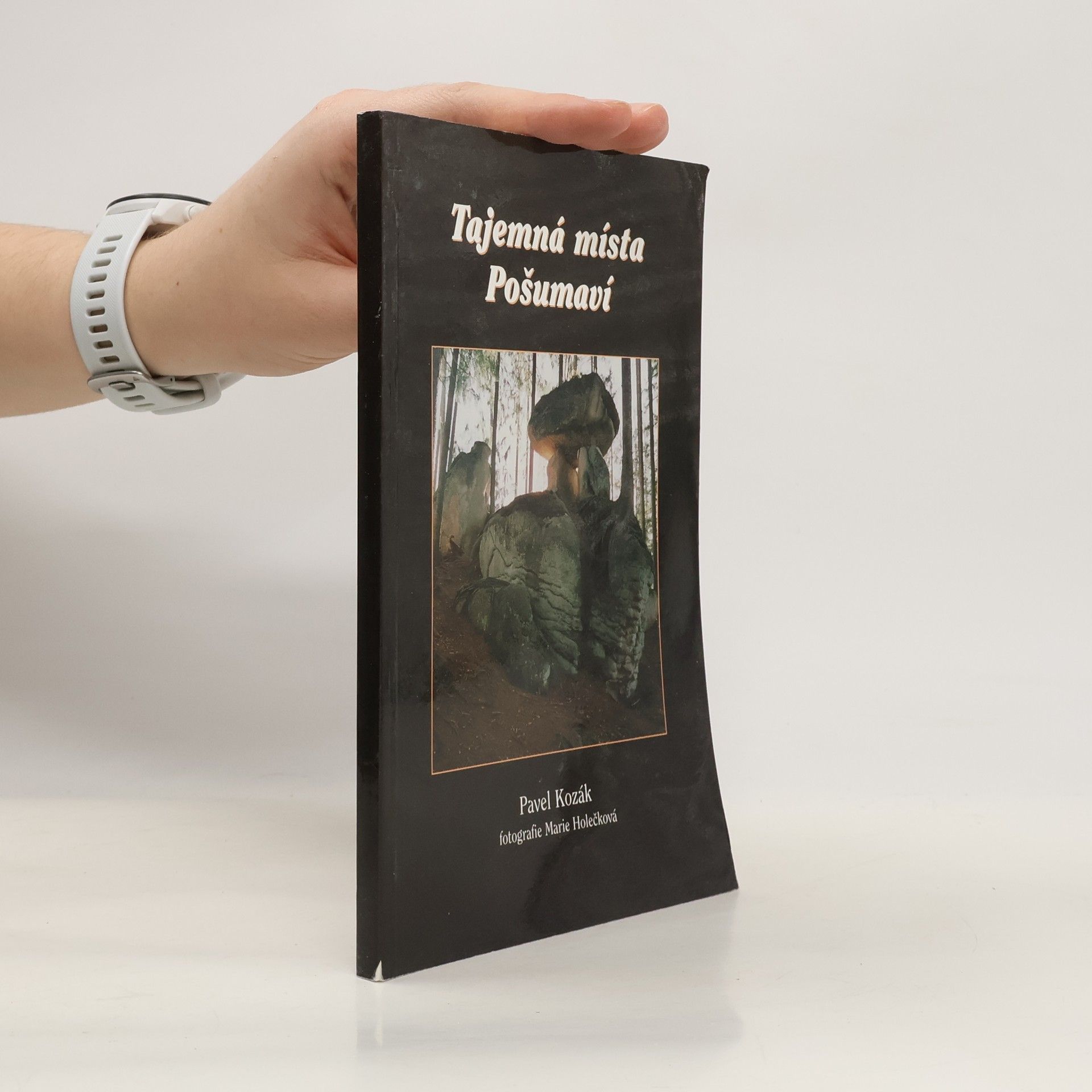 Pavel Kozák Tajemná místa Pošumaví
