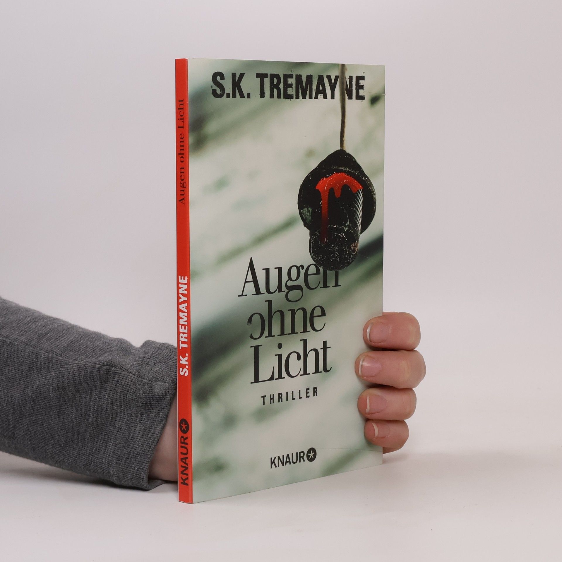 Sean Thomas Augen ohne Licht