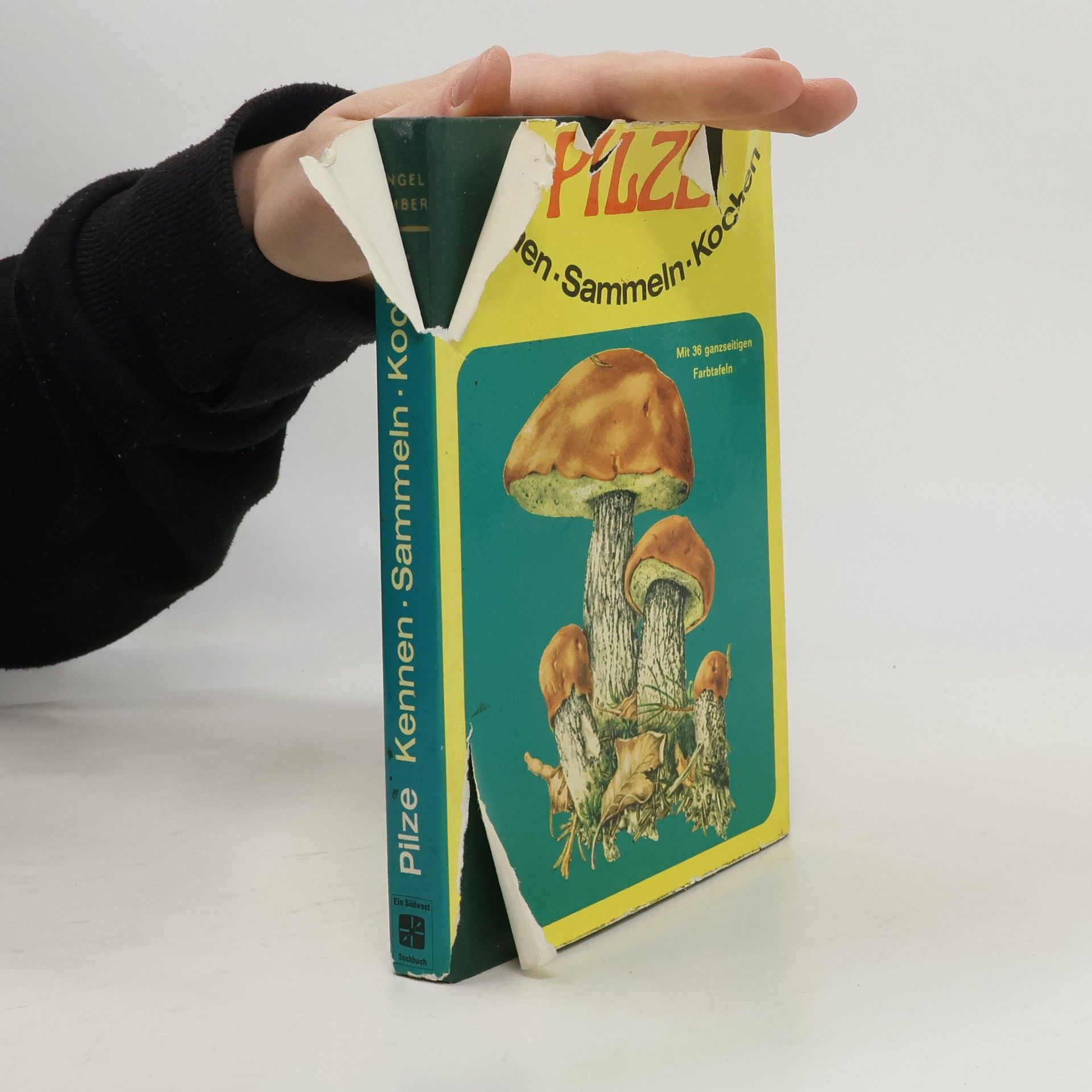 Fritz-Martin Engel Pilze: Kennen, Sammeln, Kochen