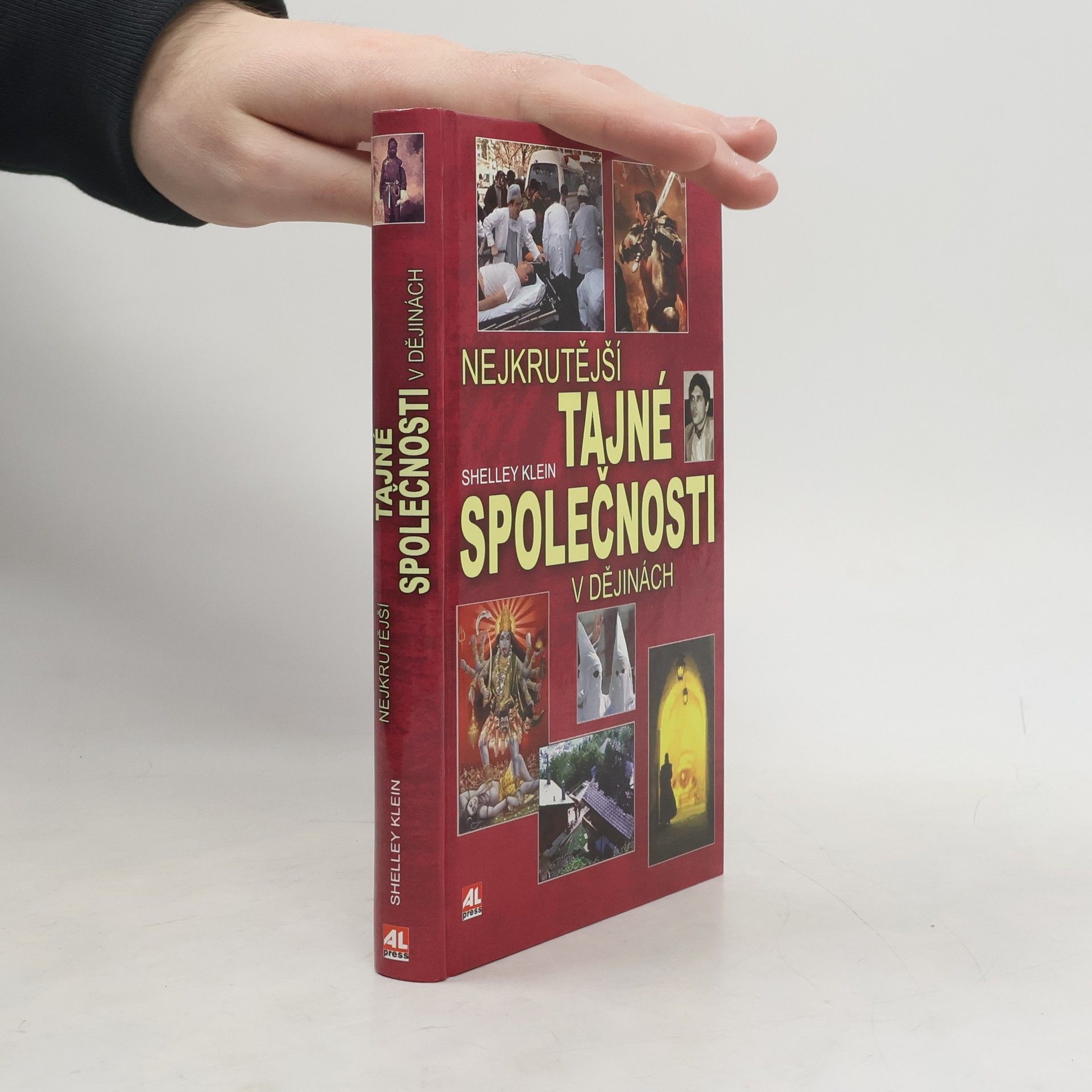 Shelley Klein Nejkrutější tajné společnosti v dějinách