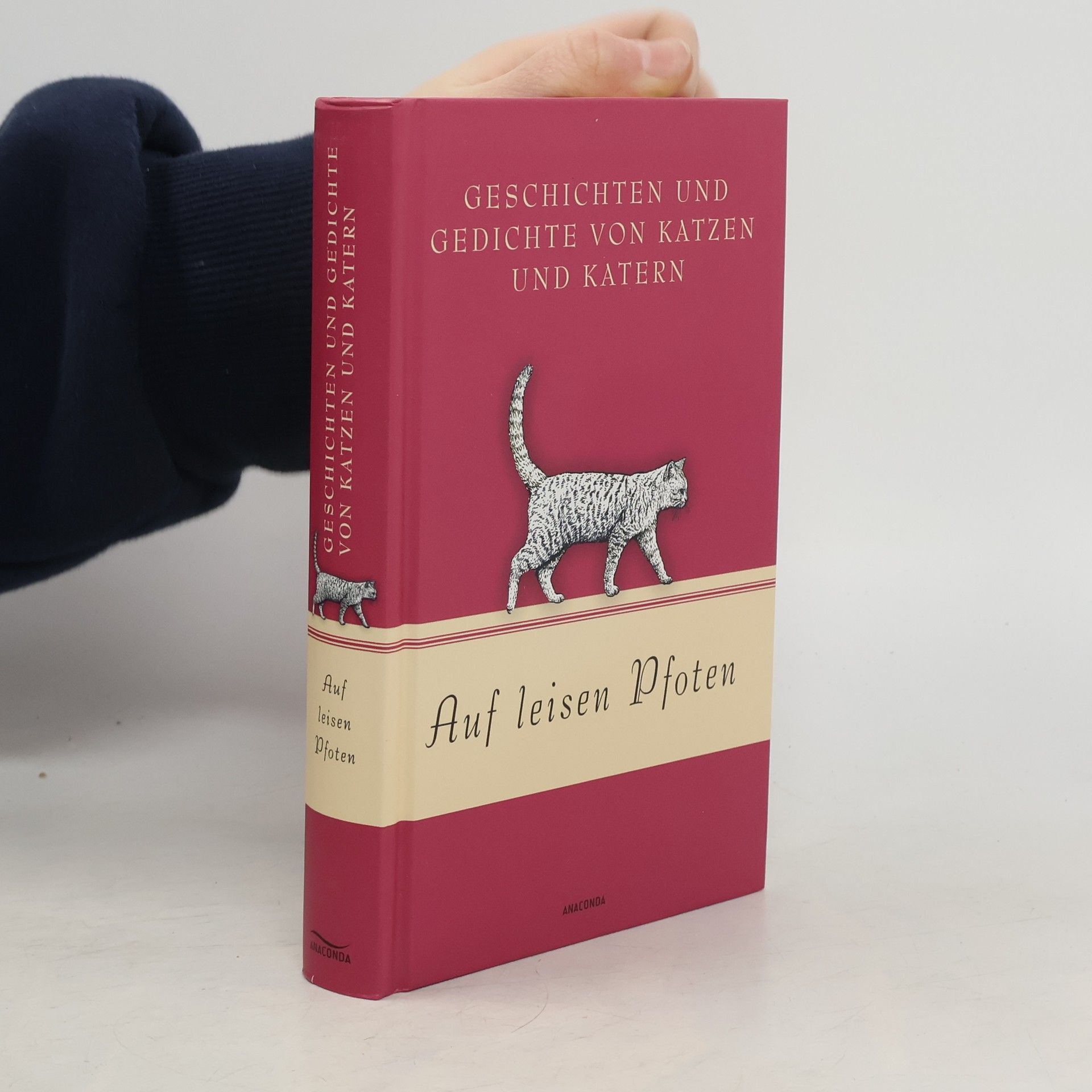 Auf leisen Pfoten - Geschichten und Gedichte von Katzen und Katern