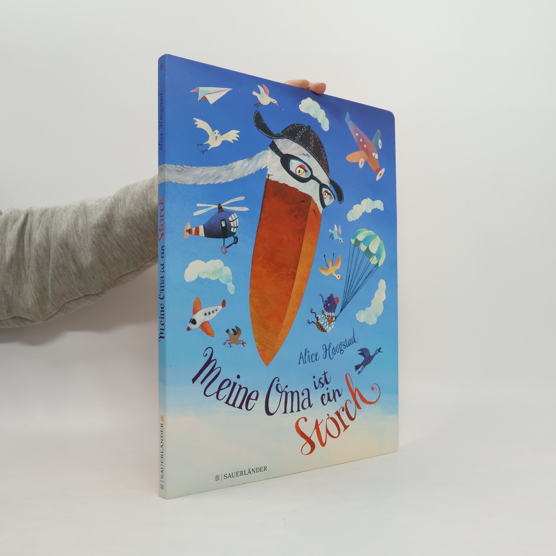 Alice Hoogstad Meine Oma ist ein Storch