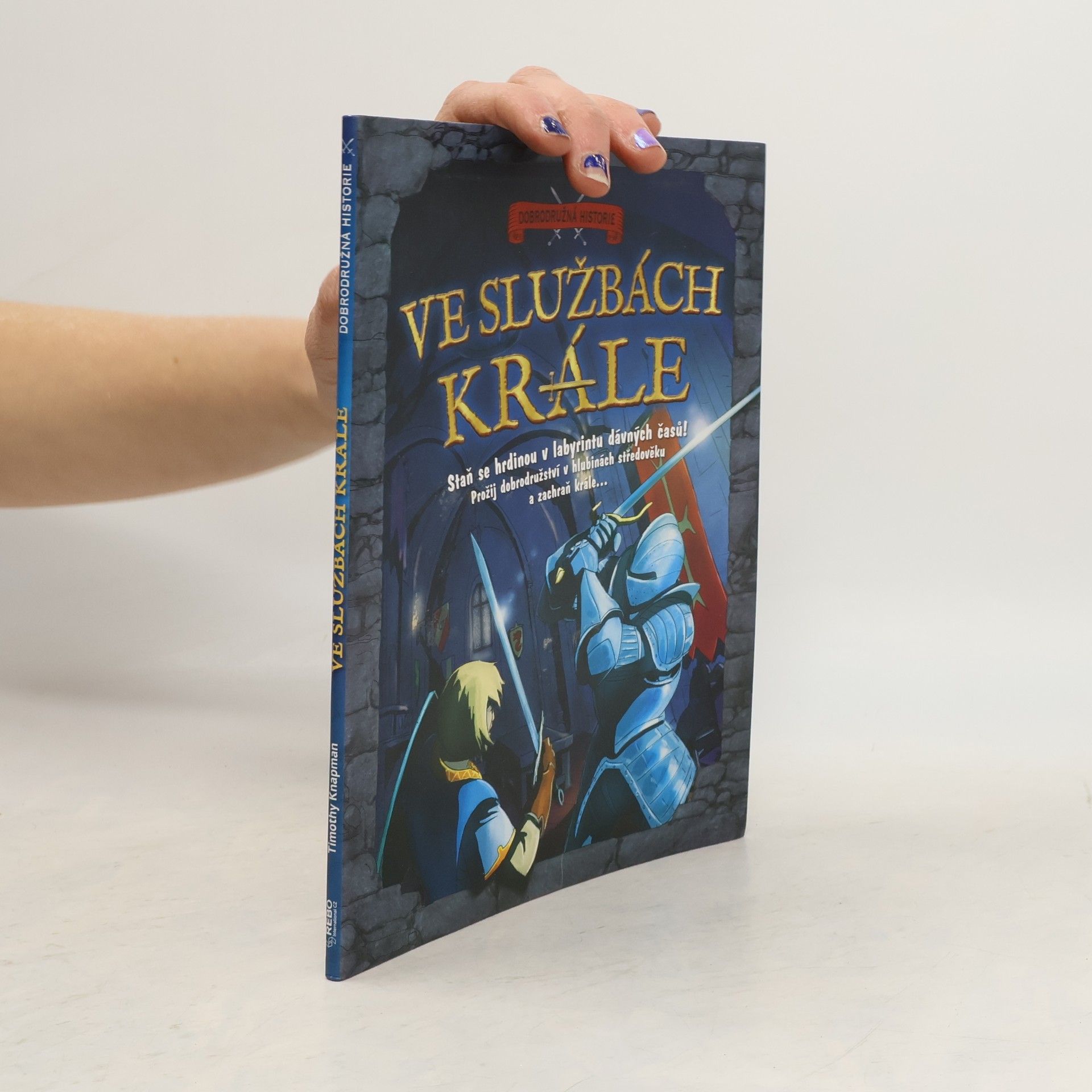 Ve službách krále