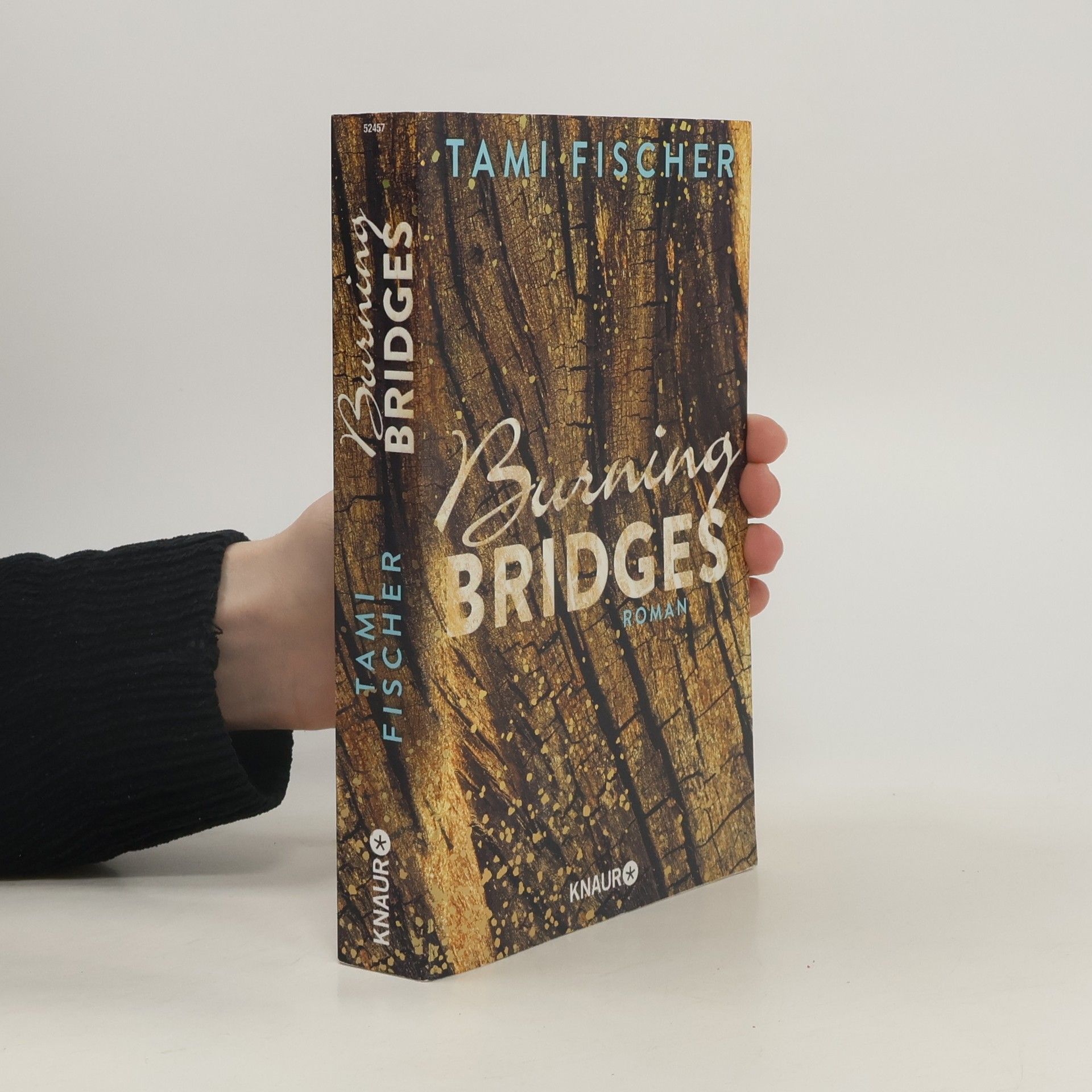 Tami Fischer Burning bridges