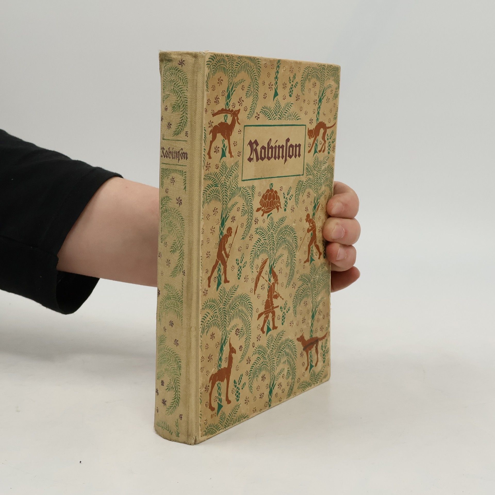 Daniel Defoe Robinson Crusoe. Seine Lebensschicksale, Erfahrungen und Abenteuer