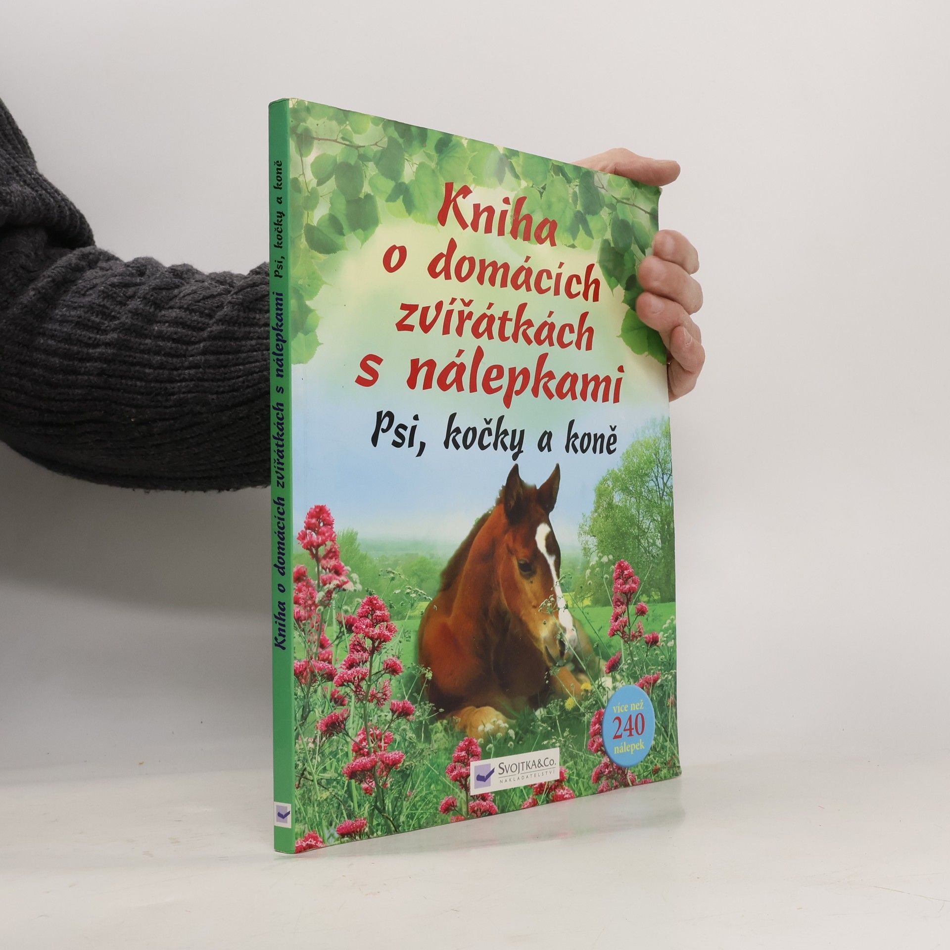 Collectif d'auteurs Kniha o domácích zvířátkách s nálepkami - Psi, kočky a koně