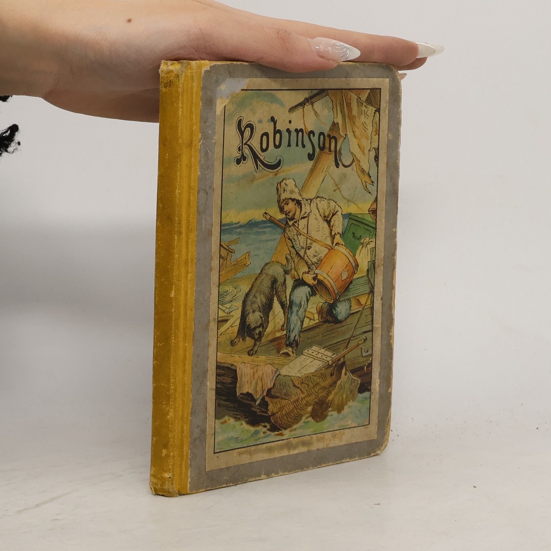 Robinson. Der Jugend von neun bis fünfzehn Jahren erzählt