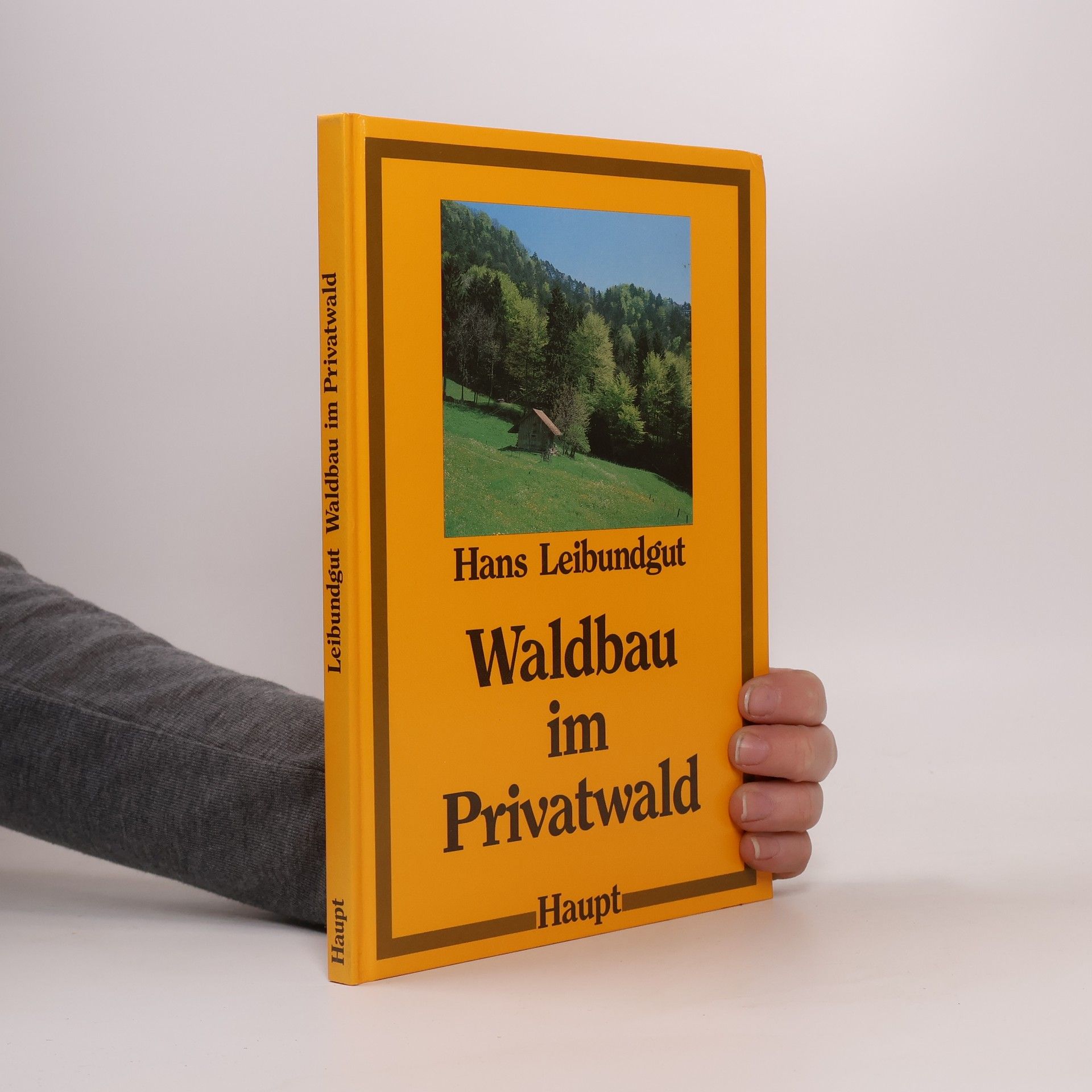 Waldbau im Privatwald