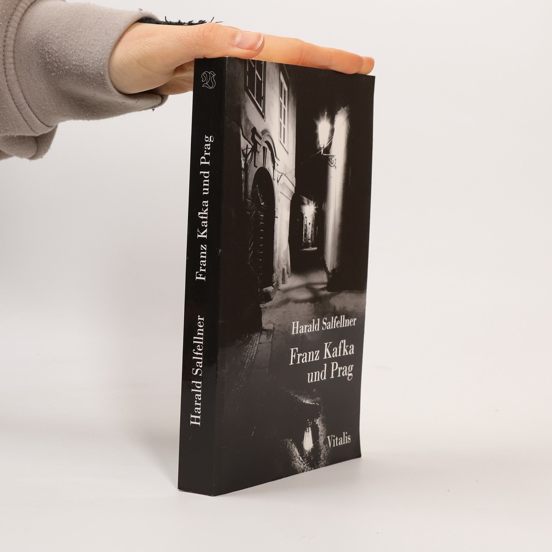 Harald Salfellner Franz Kafka und Prag