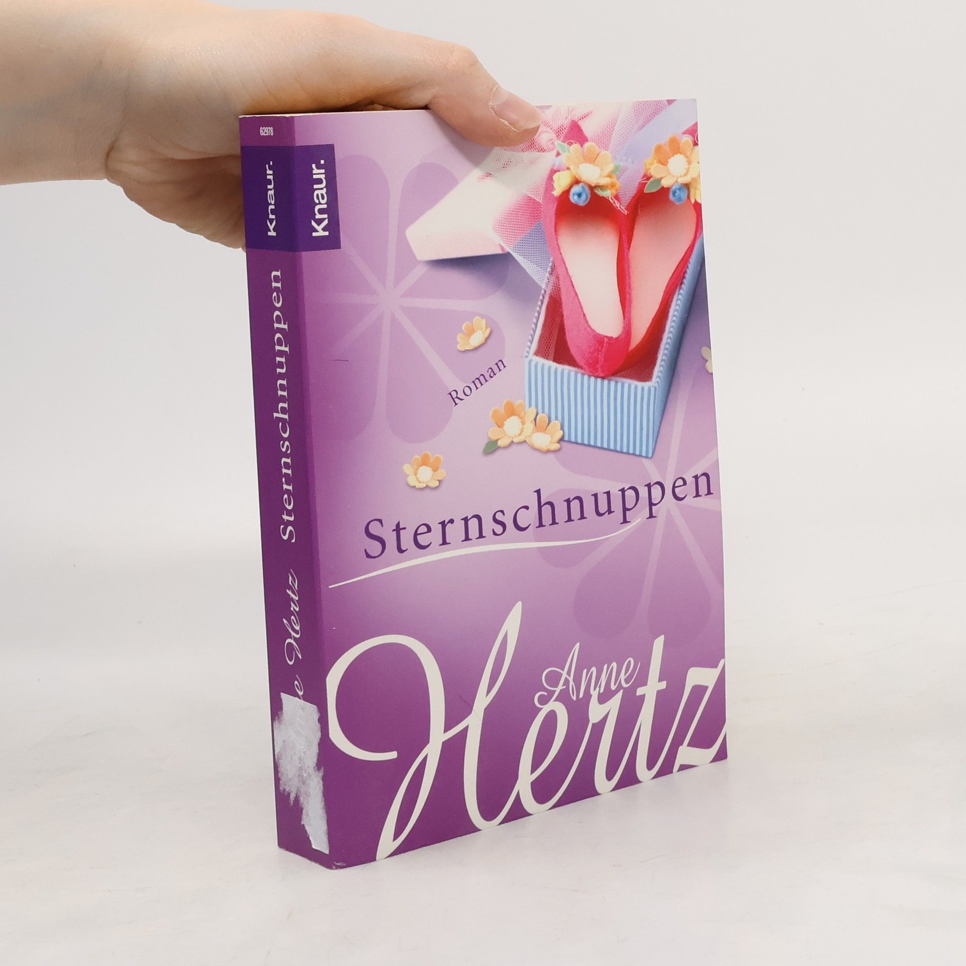 Anne Hertz Sternschnuppen