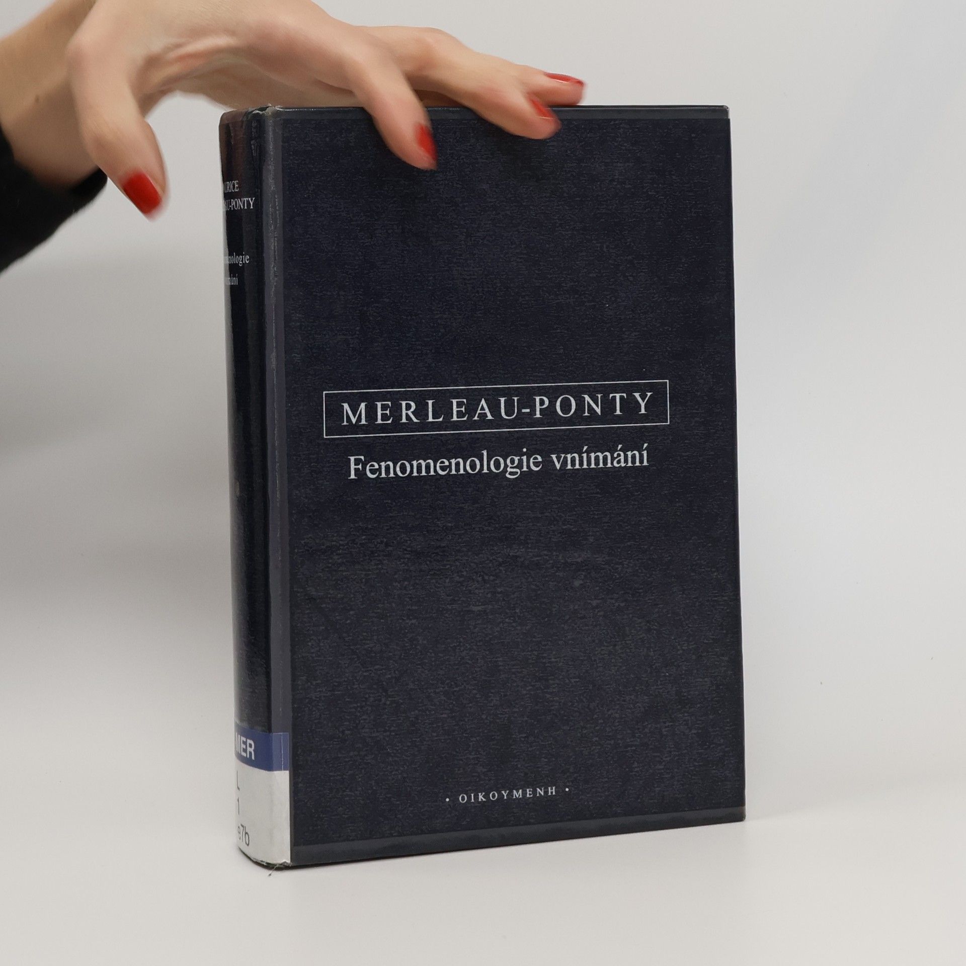 Fenomenologie vnímání