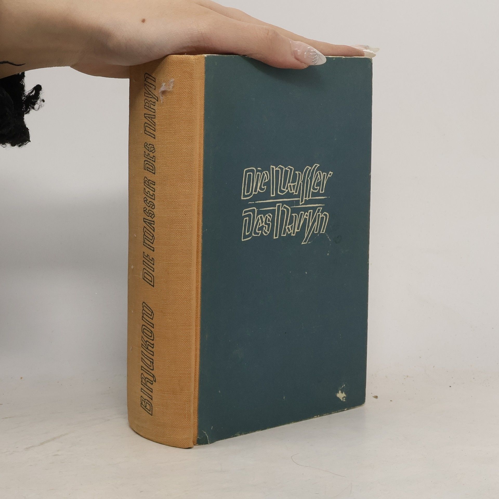 Nikolai Birjukow Die Wasser des Naryn